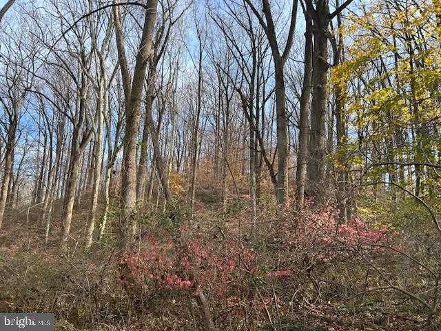 Baltimore St photo 8