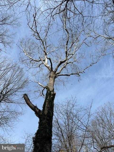 Baltimore St photo 9