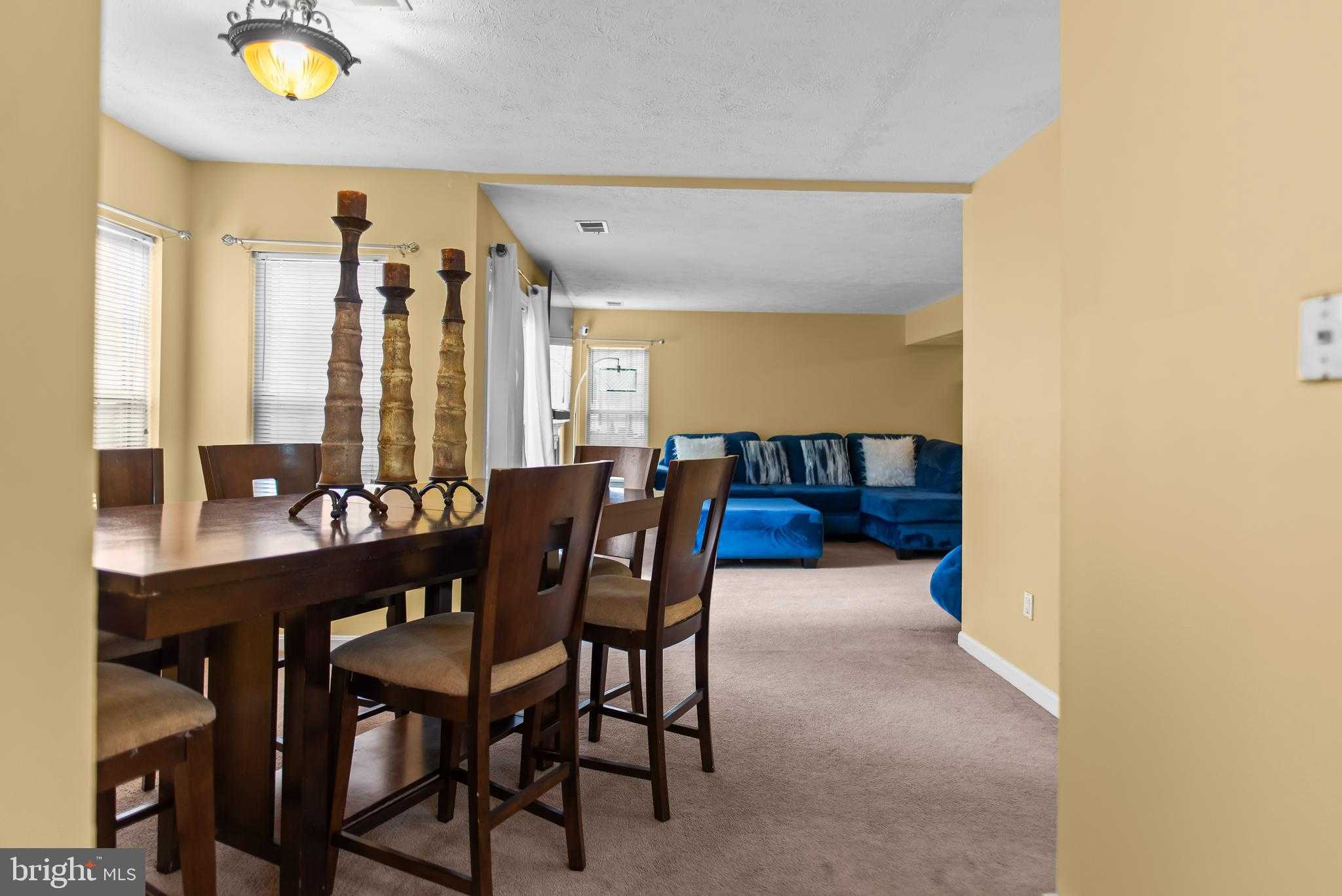 6221 Polar Bear CT photo 15