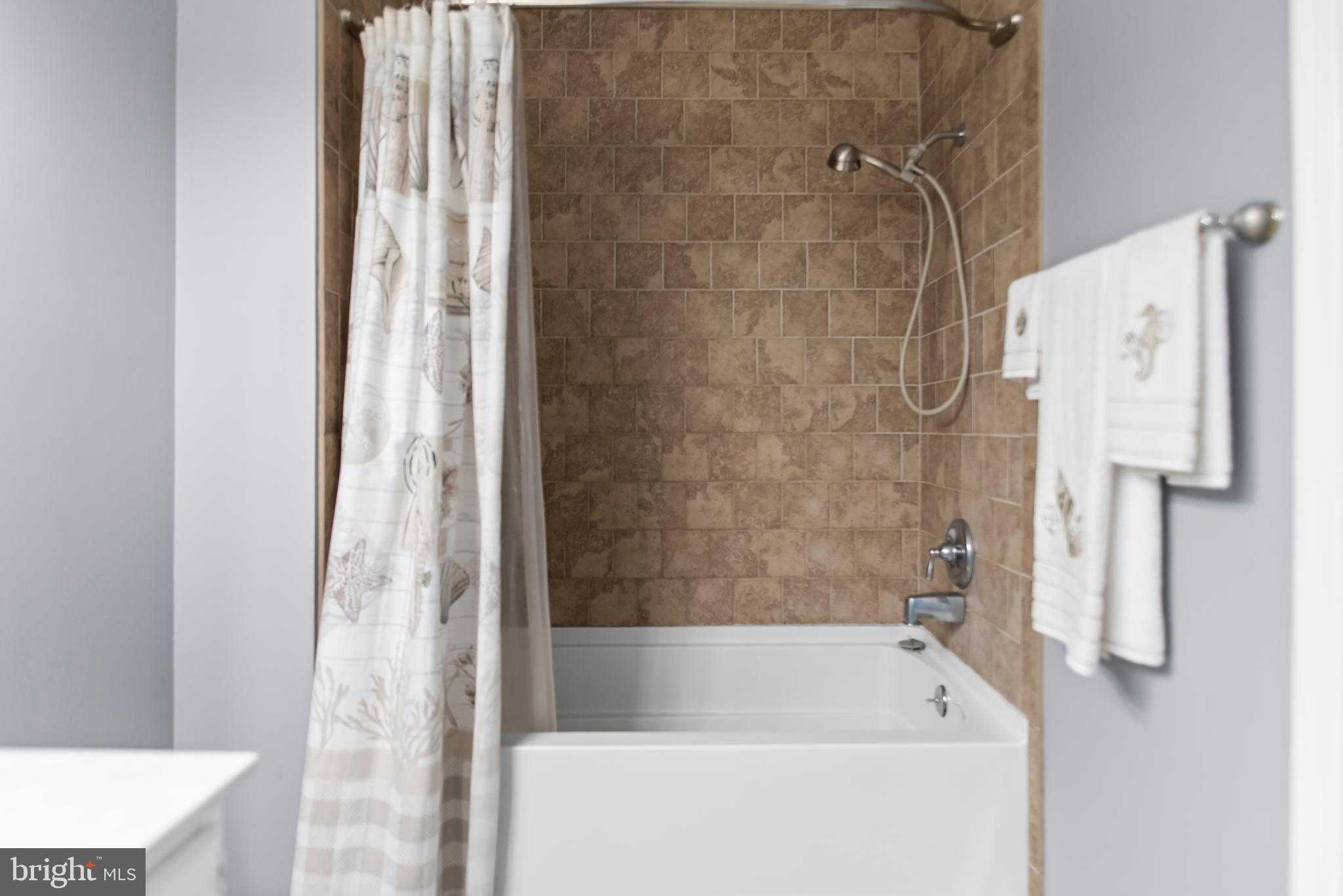 6221 Polar Bear CT photo 25