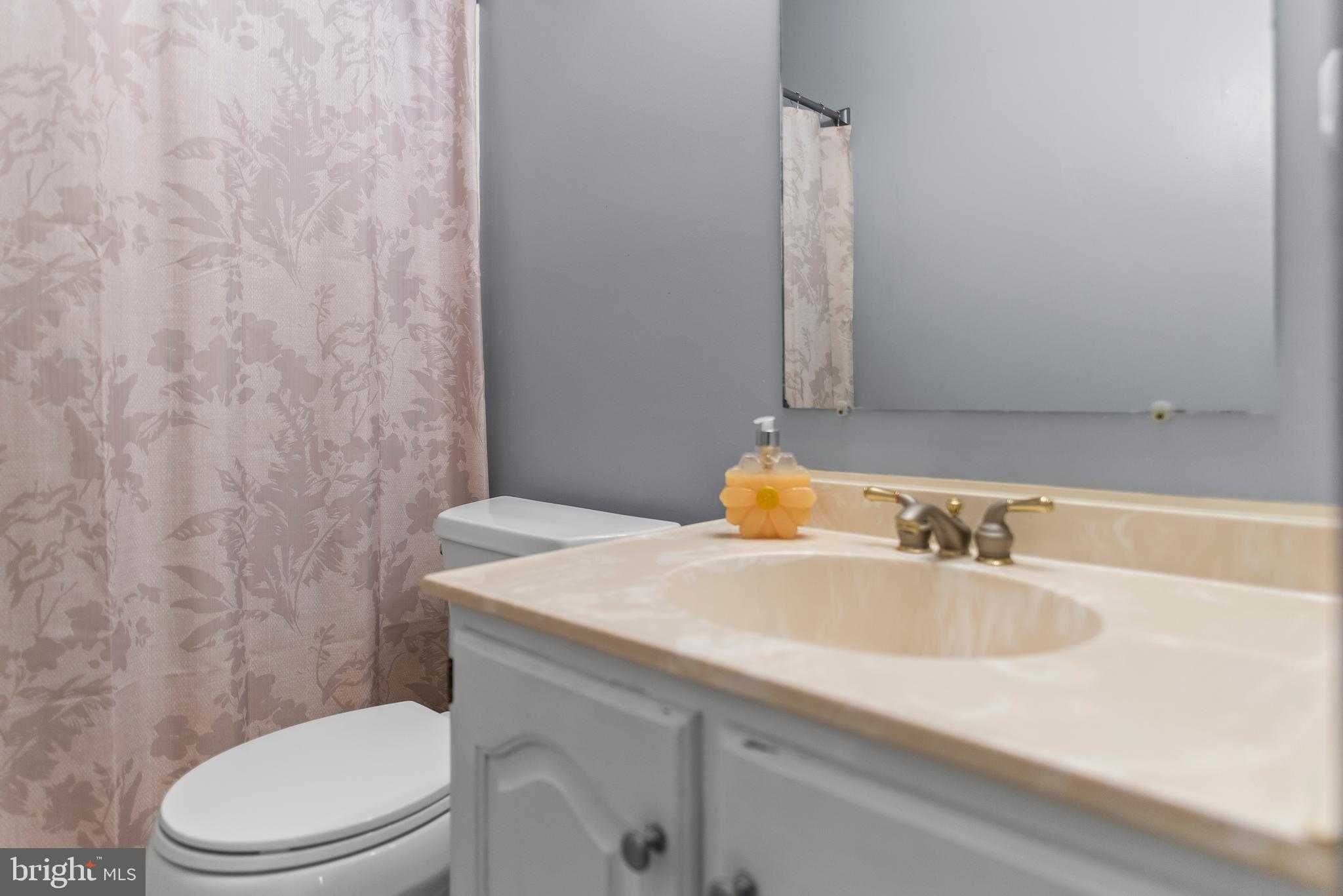 6221 Polar Bear CT photo 28