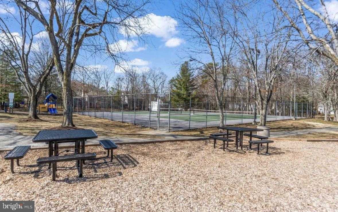 6221 Polar Bear CT photo 39