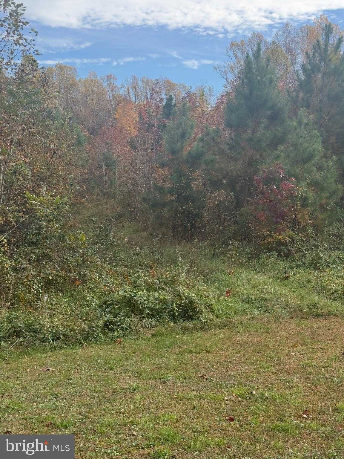 Westmoreland Dr photo 4