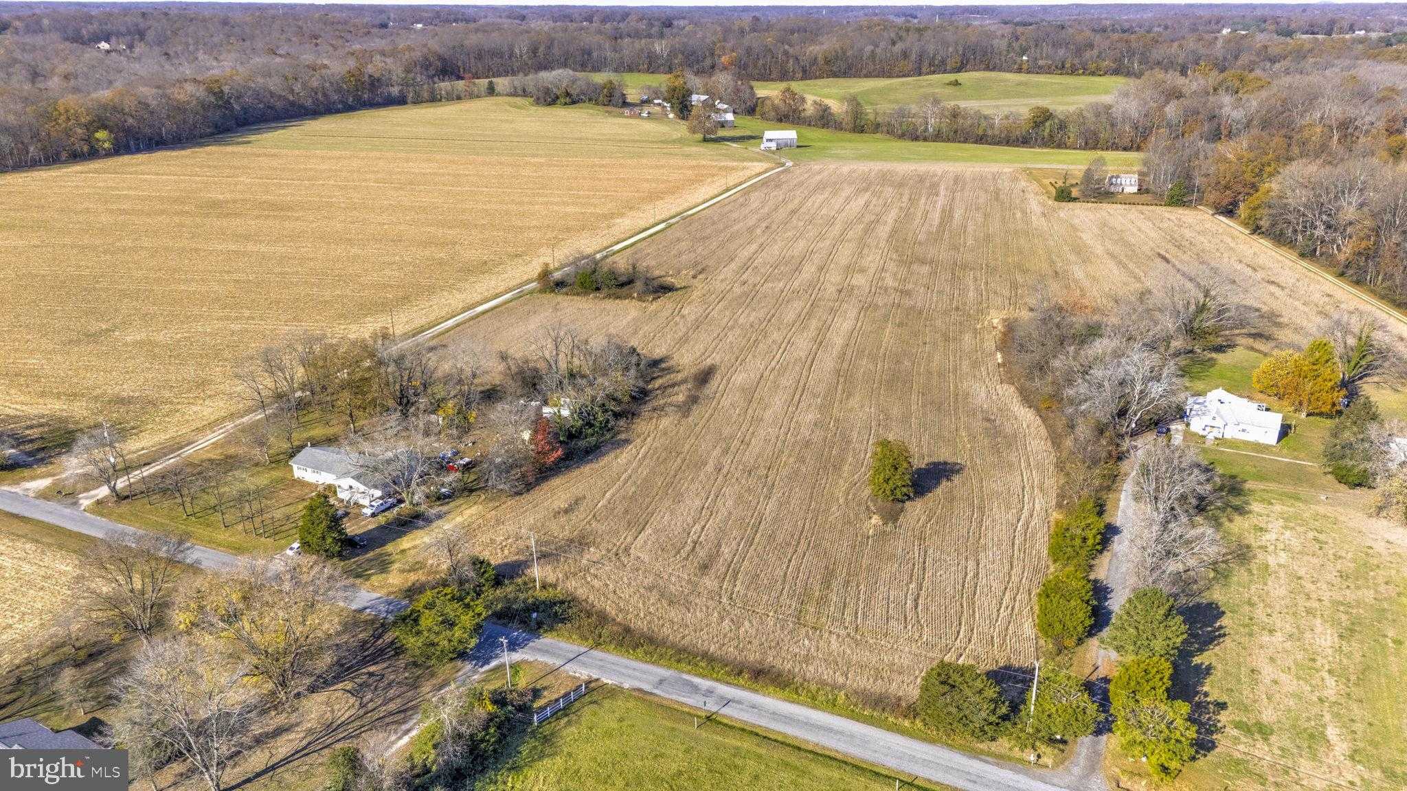 16400 Tanyard Rd photo 7