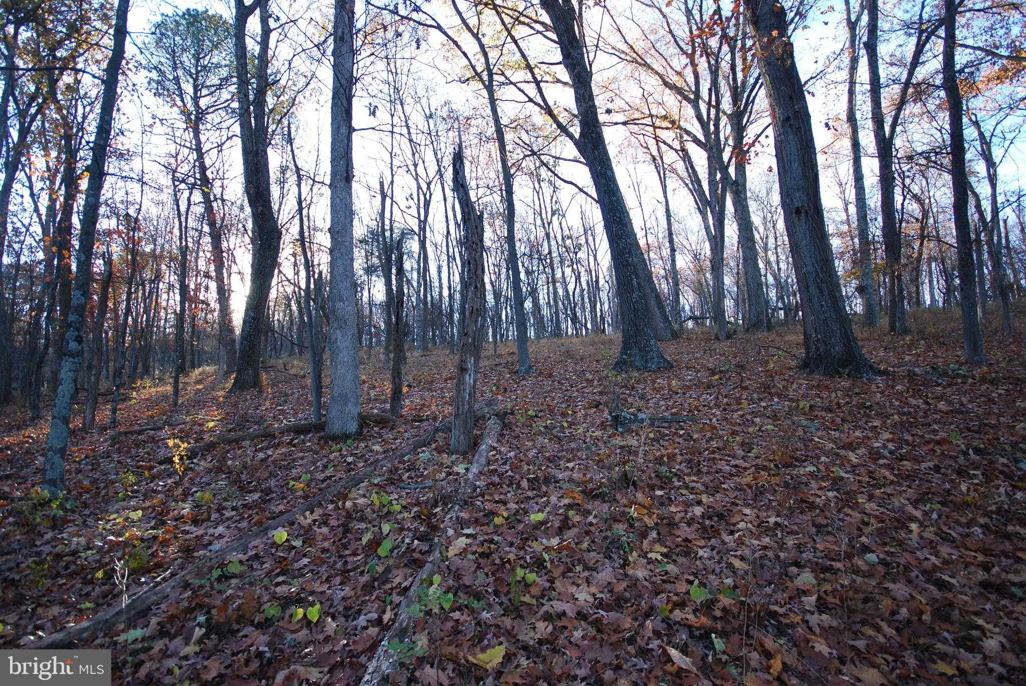 67 Mill Mountain Rd photo 11