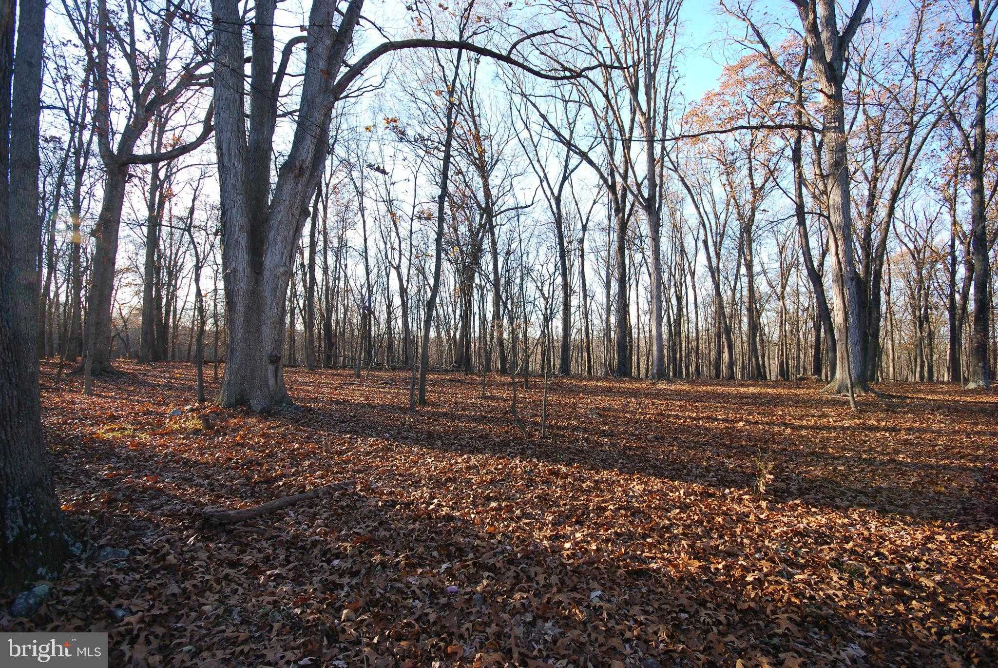 67 Mill Mountain Rd photo 12