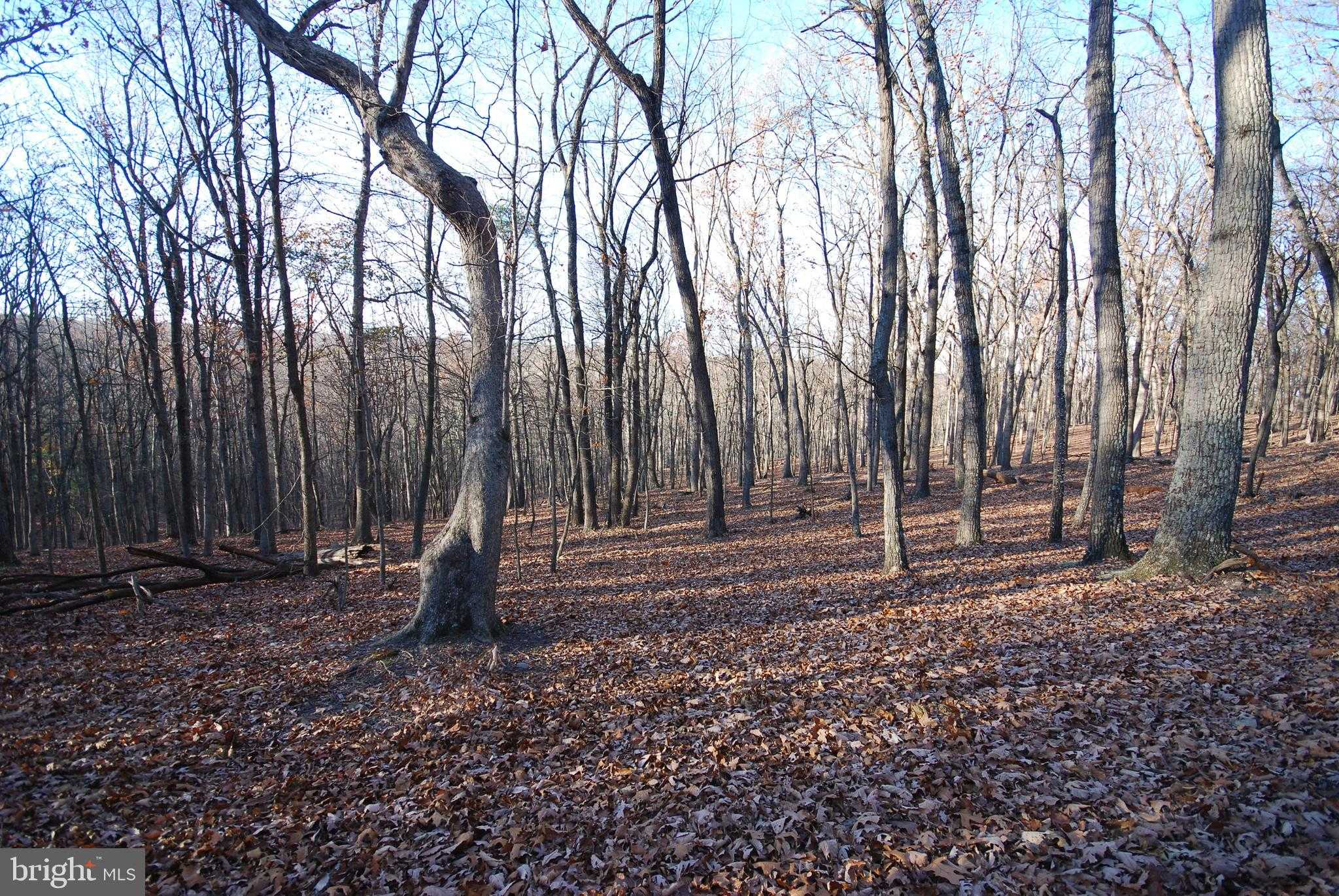 67 Mill Mountain Rd photo 14