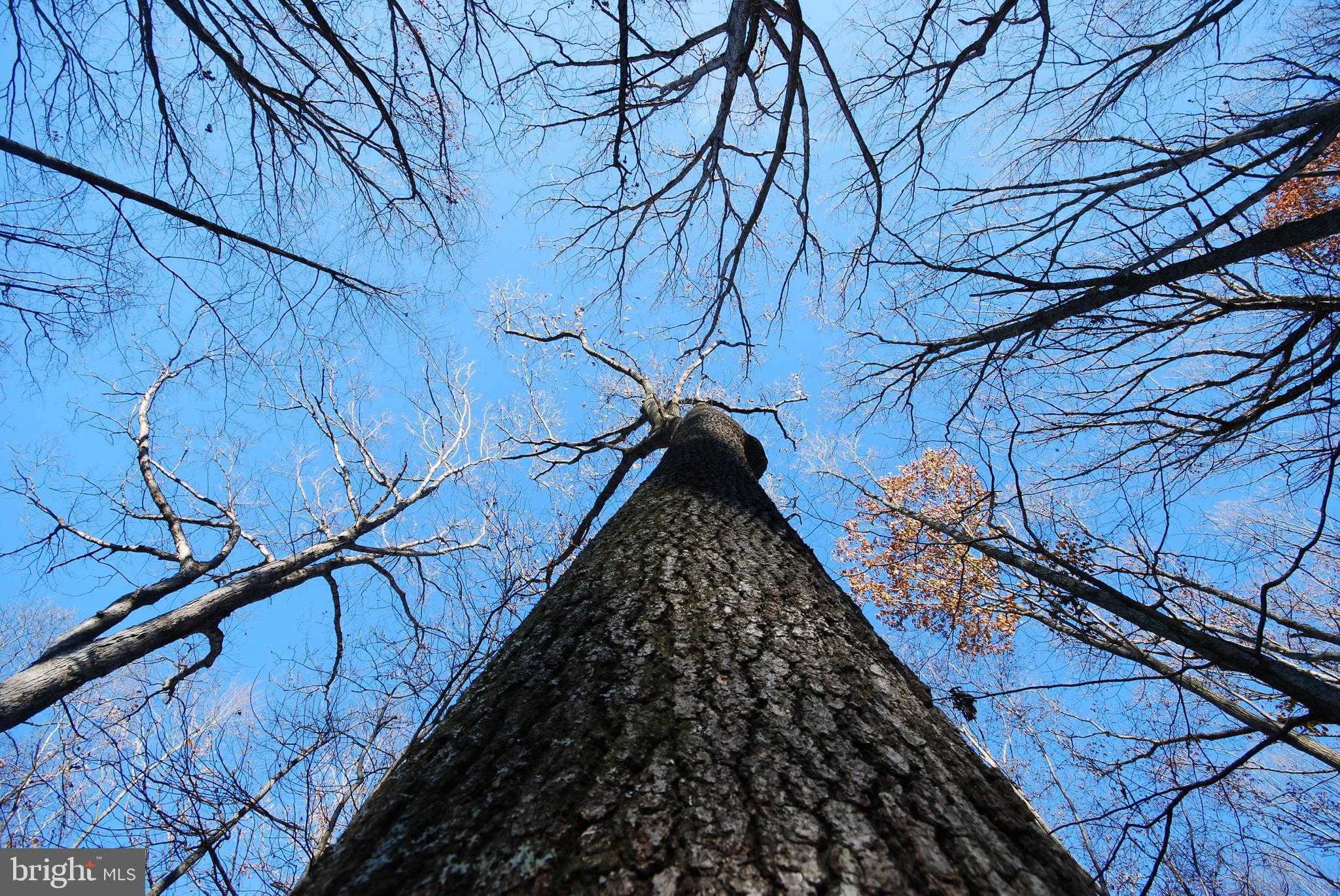 67 Mill Mountain Rd photo 4