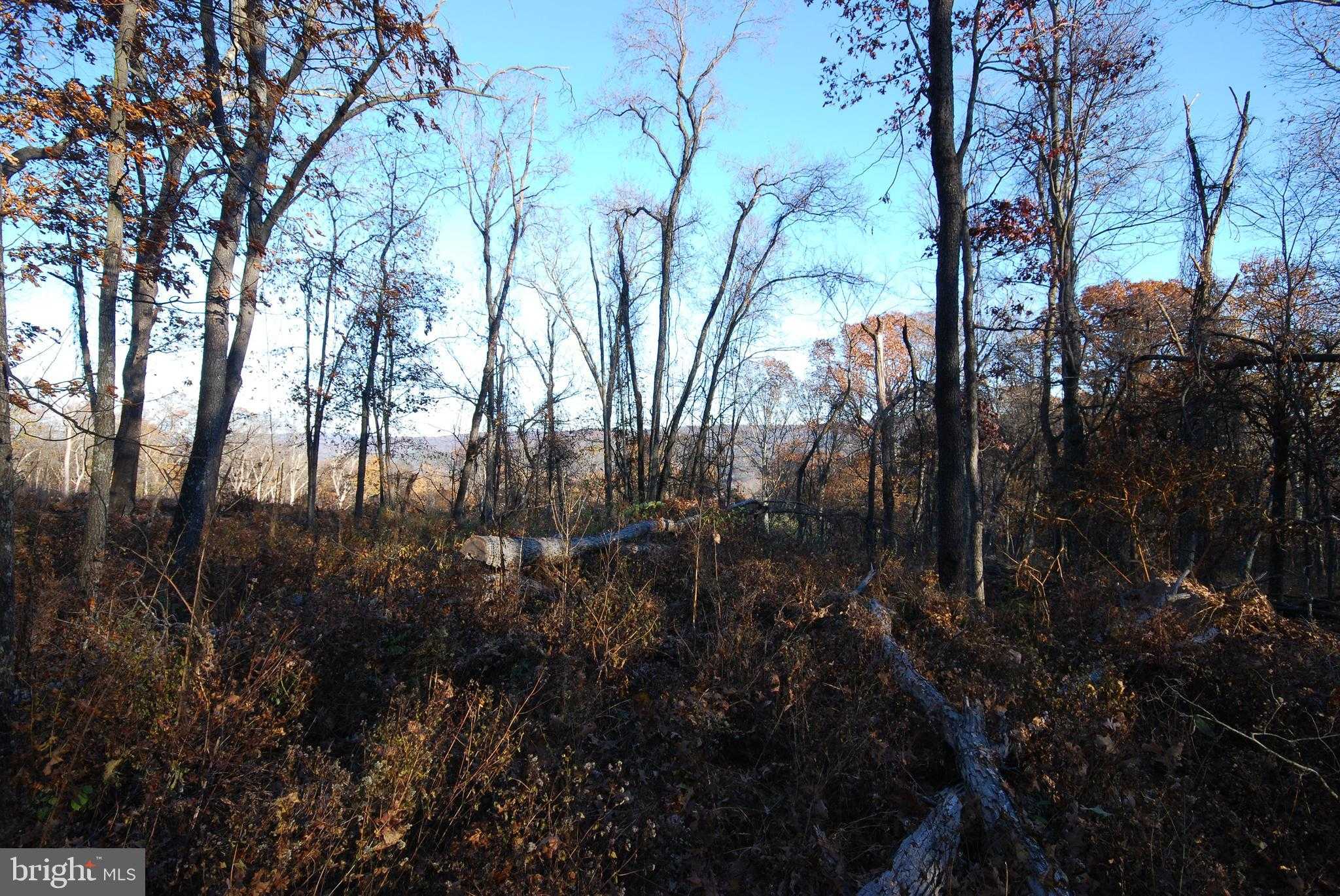 67 Mill Mountain Rd photo 7