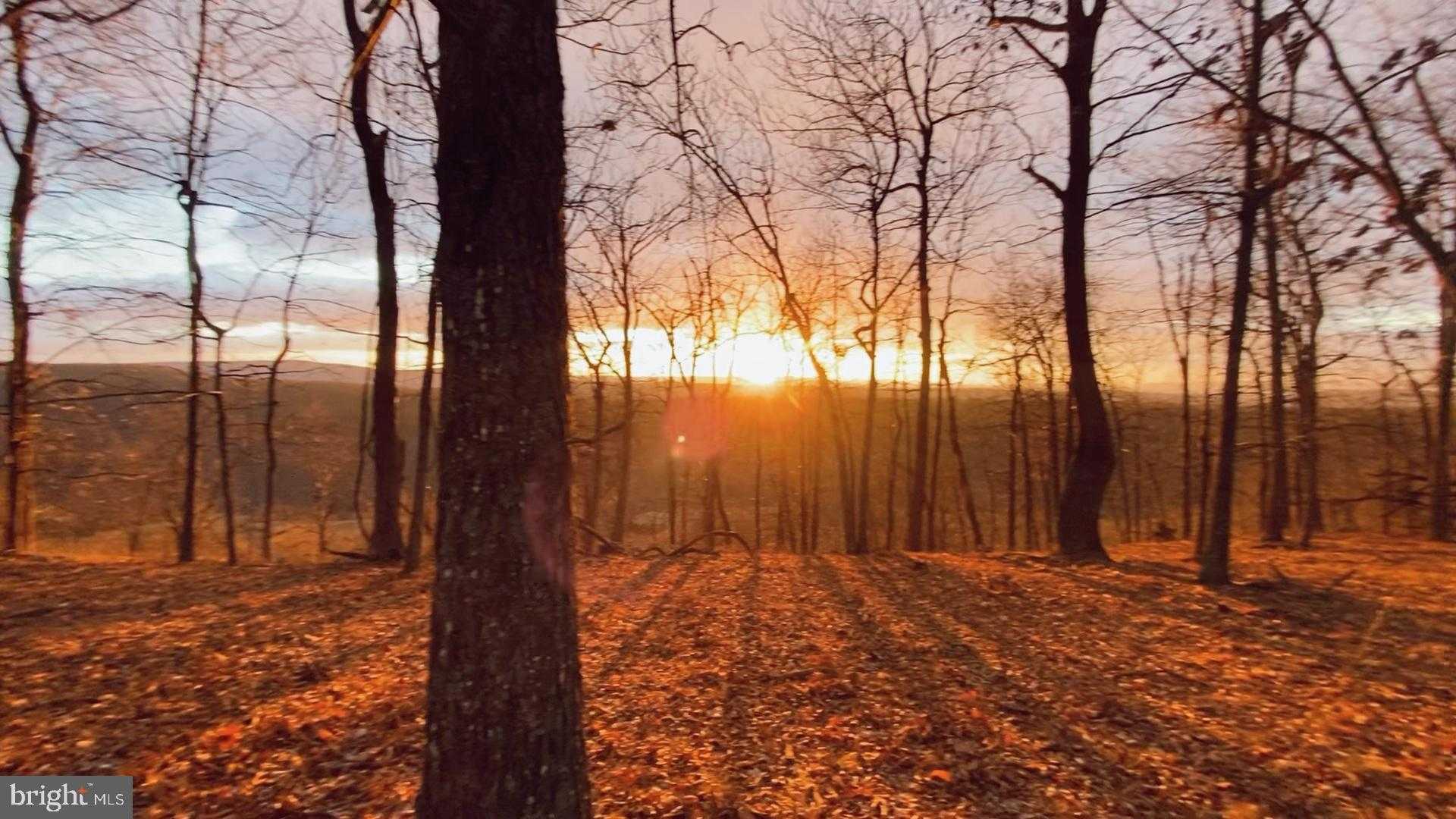 1904 Monroe Mountain Rd photo 2