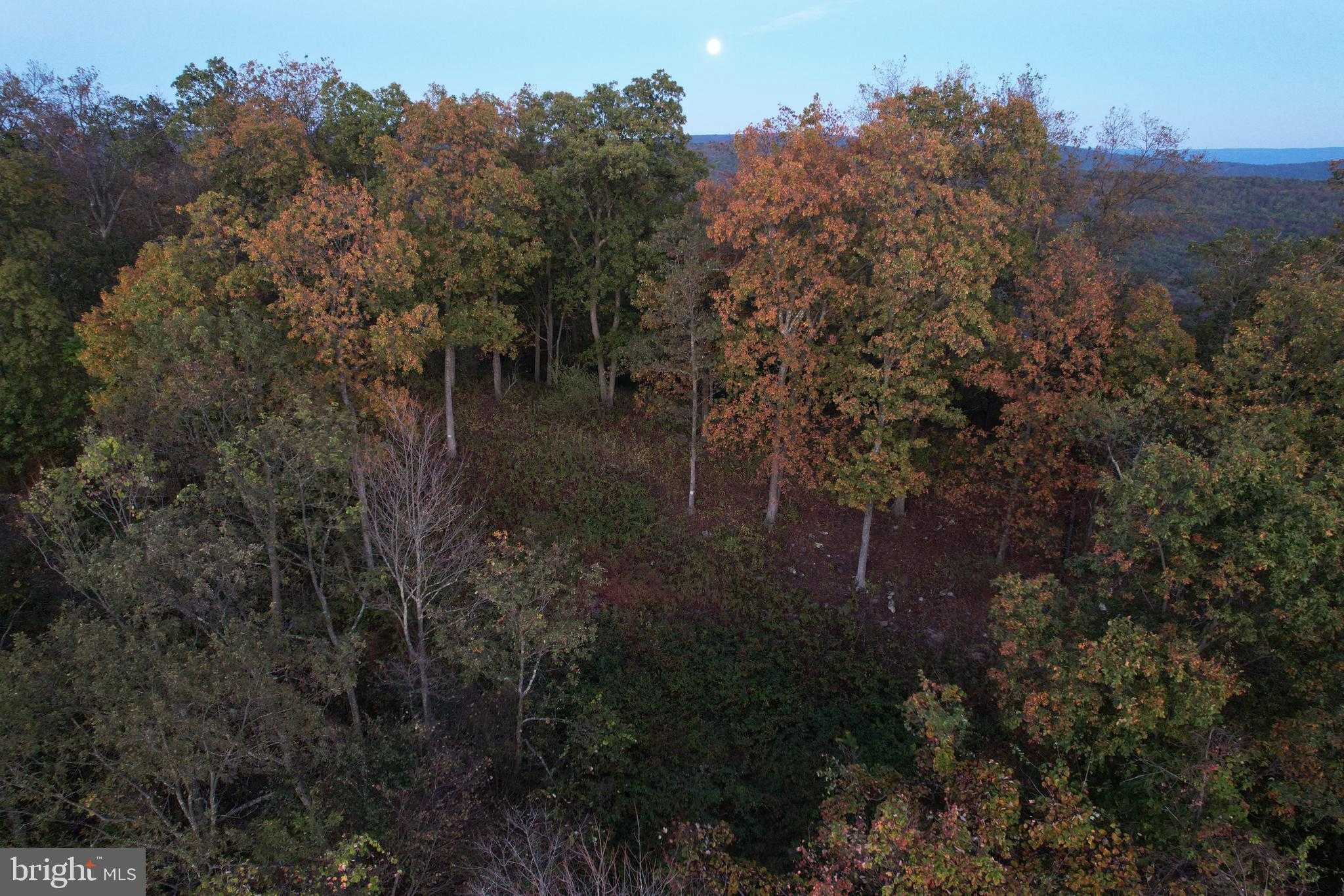 1904 Monroe Mountain Rd photo 5