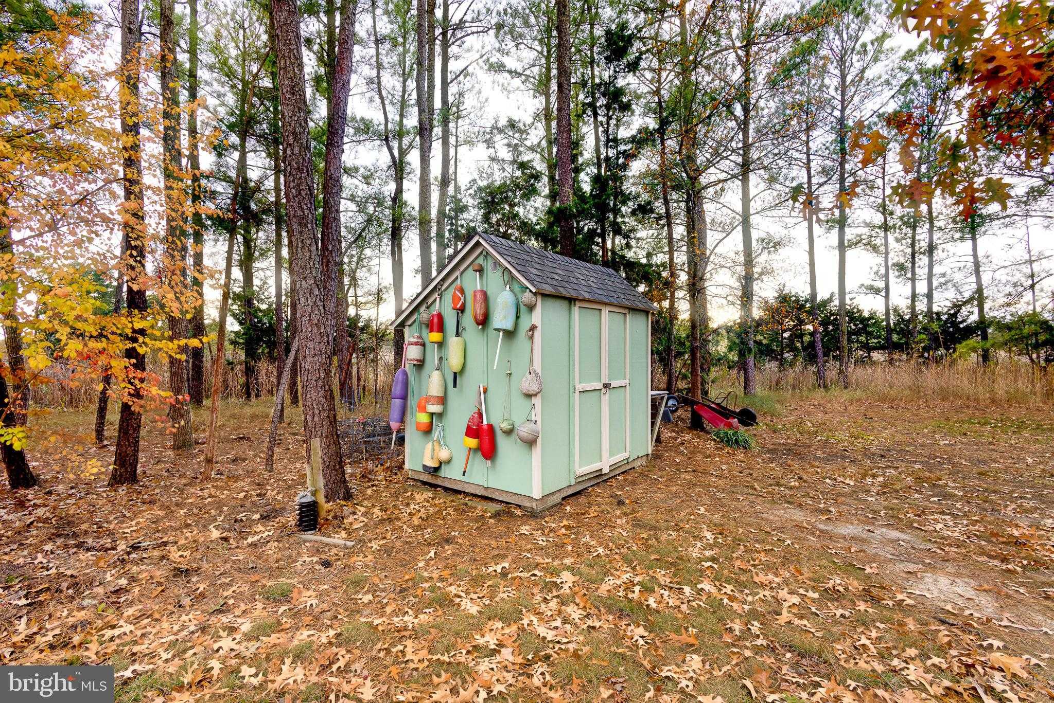 4491 Bachelors Point Rd photo 39