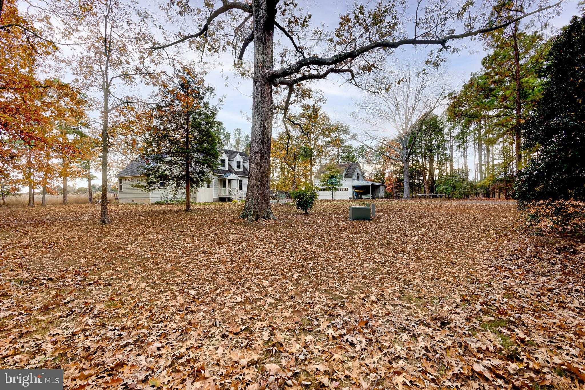 4491 Bachelors Point Rd photo 43