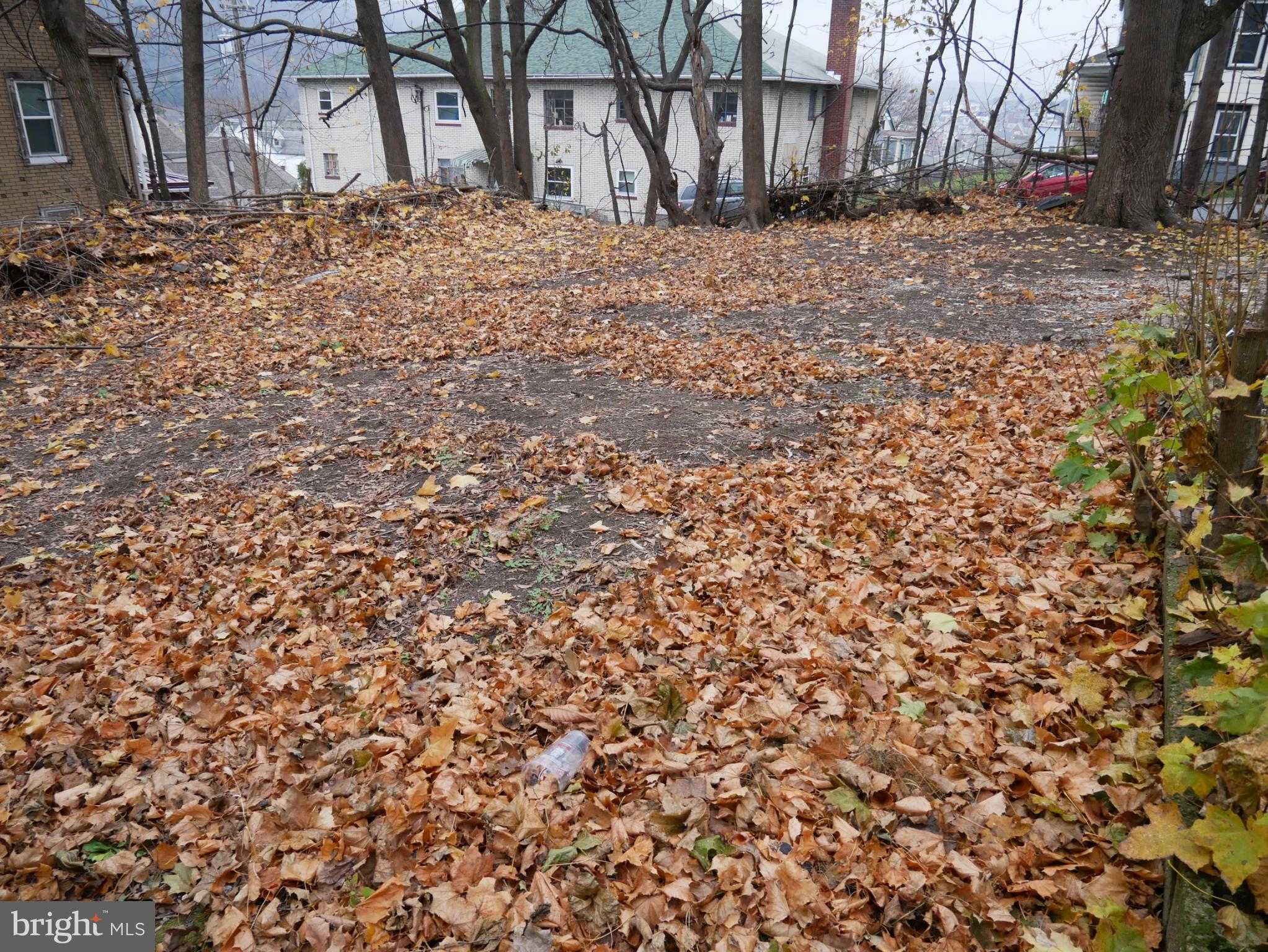 903 W Spruce St photo 37