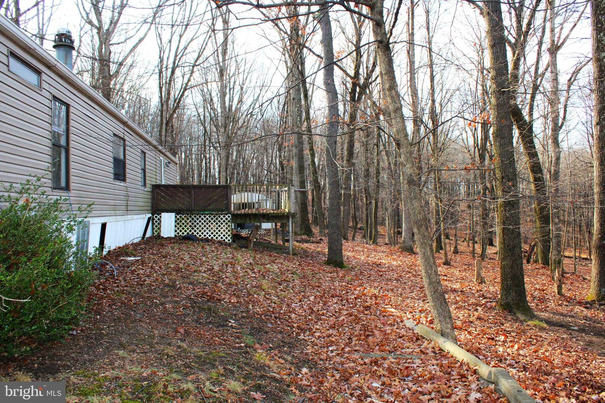 10509 Burton Park Dr SW photo 4