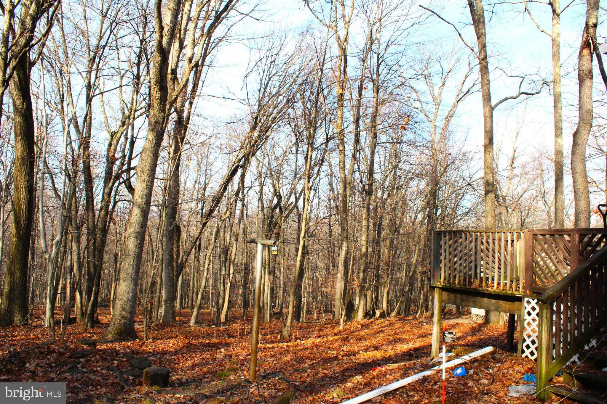 10509 Burton Park Dr SW photo 6