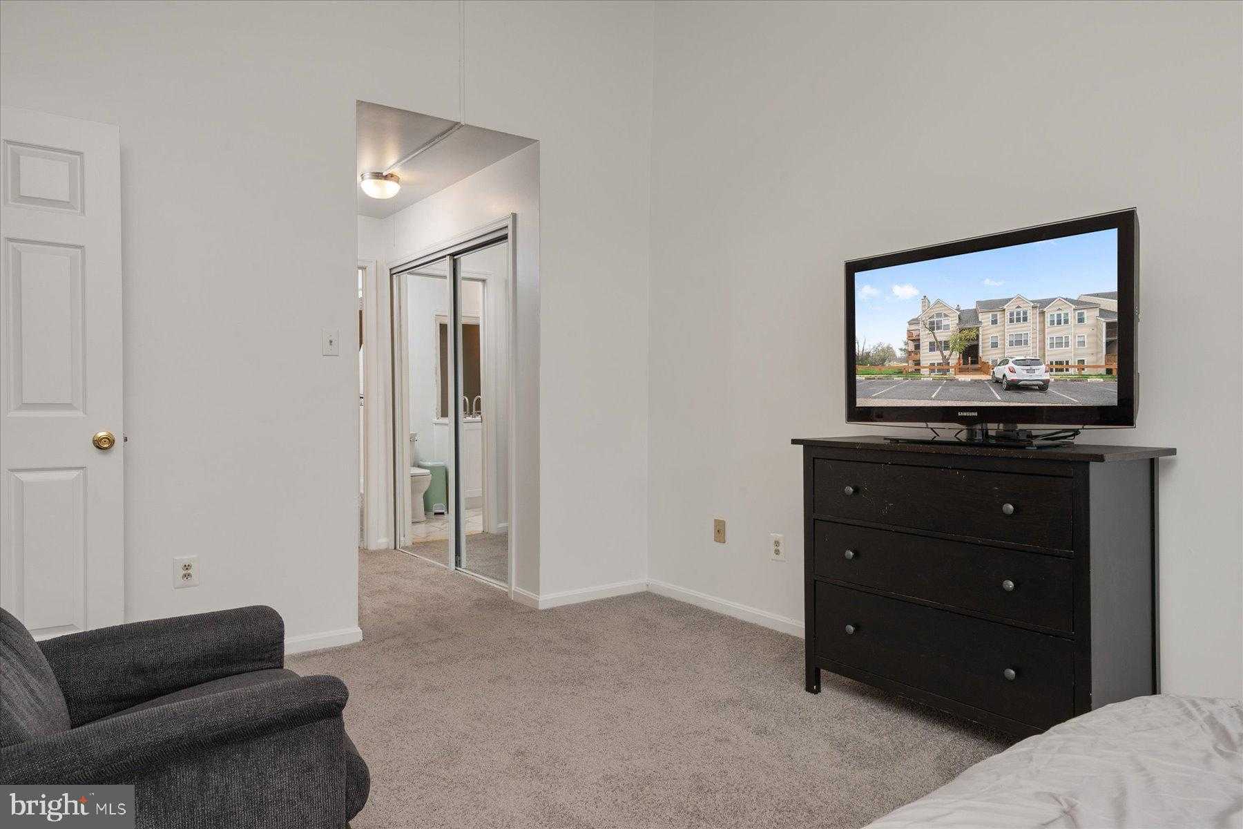 2 Fallen Tree CT photo 22