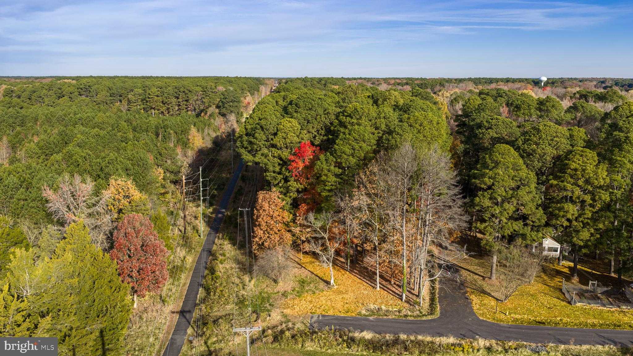 108 Miles Ln photo 4