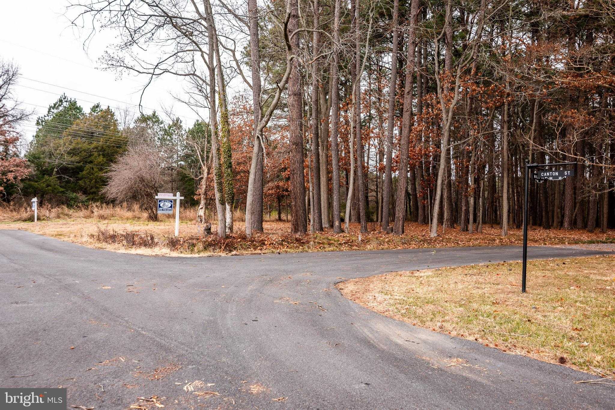 108 Miles Ln photo 5