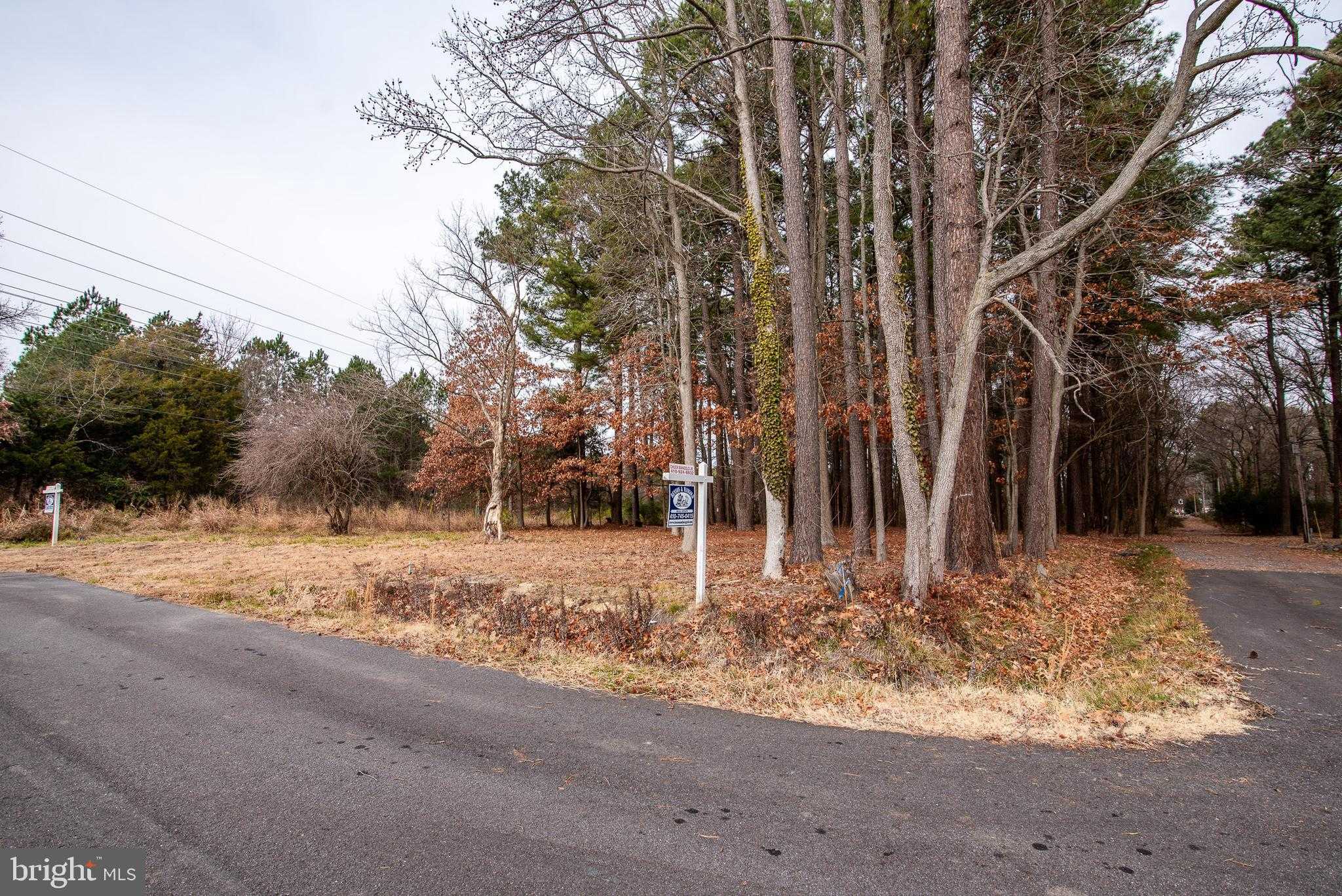 108 Miles Ln photo 9