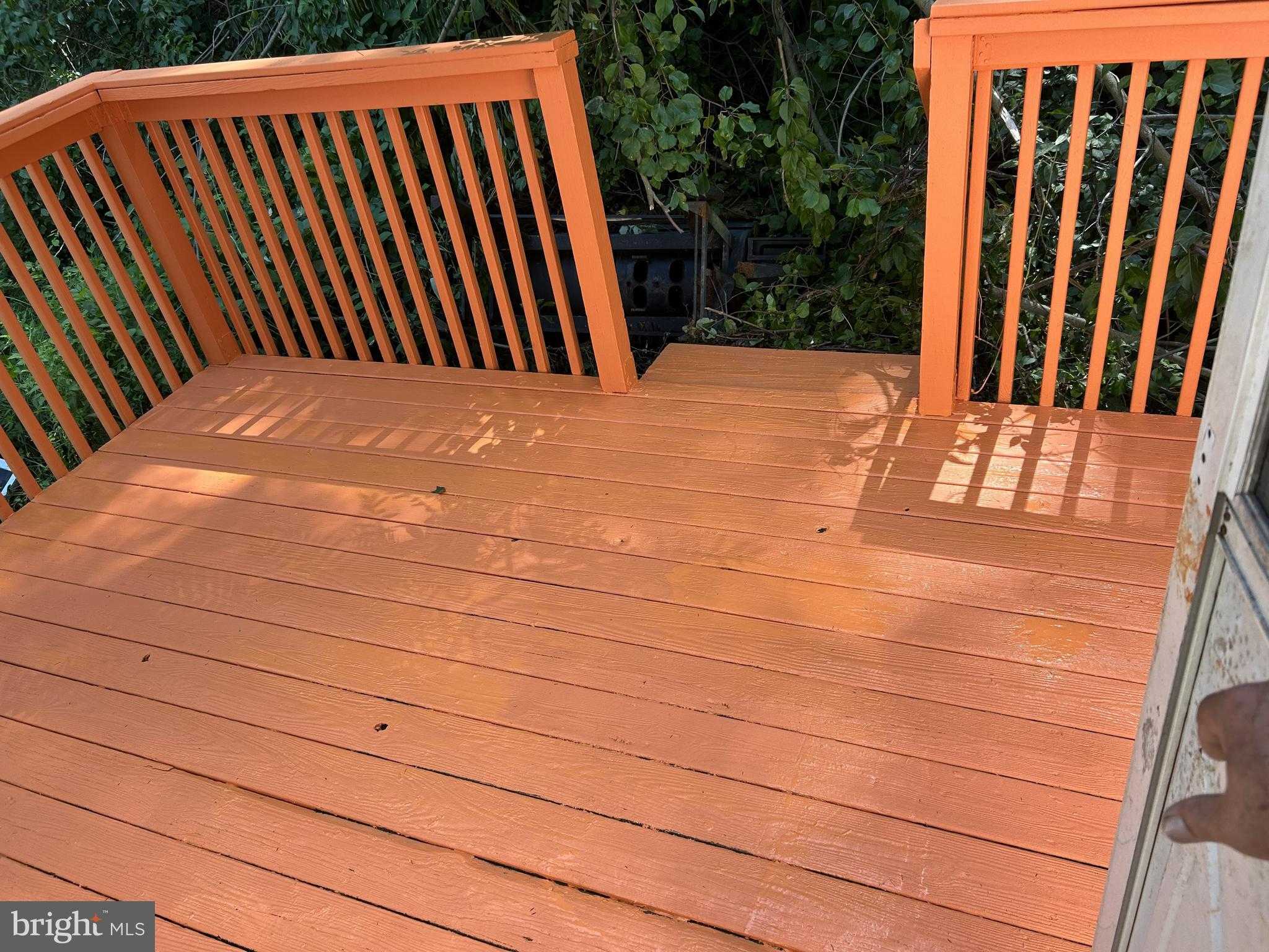 321 Peacock St photo 9