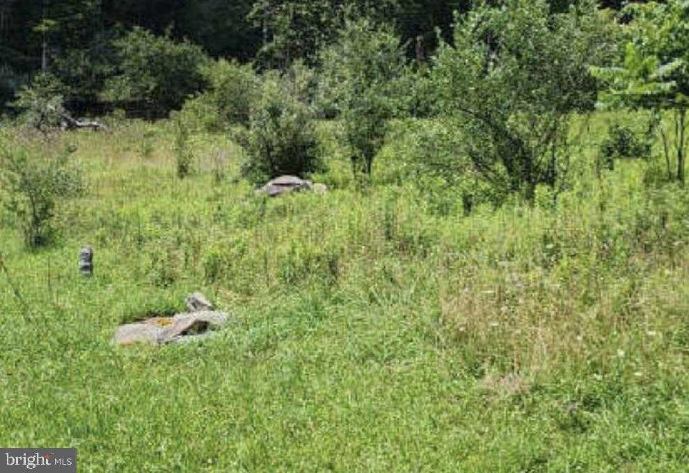 83 Ankney Ln photo 13