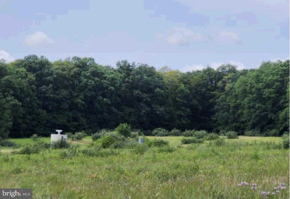 83 Ankney Ln photo 15