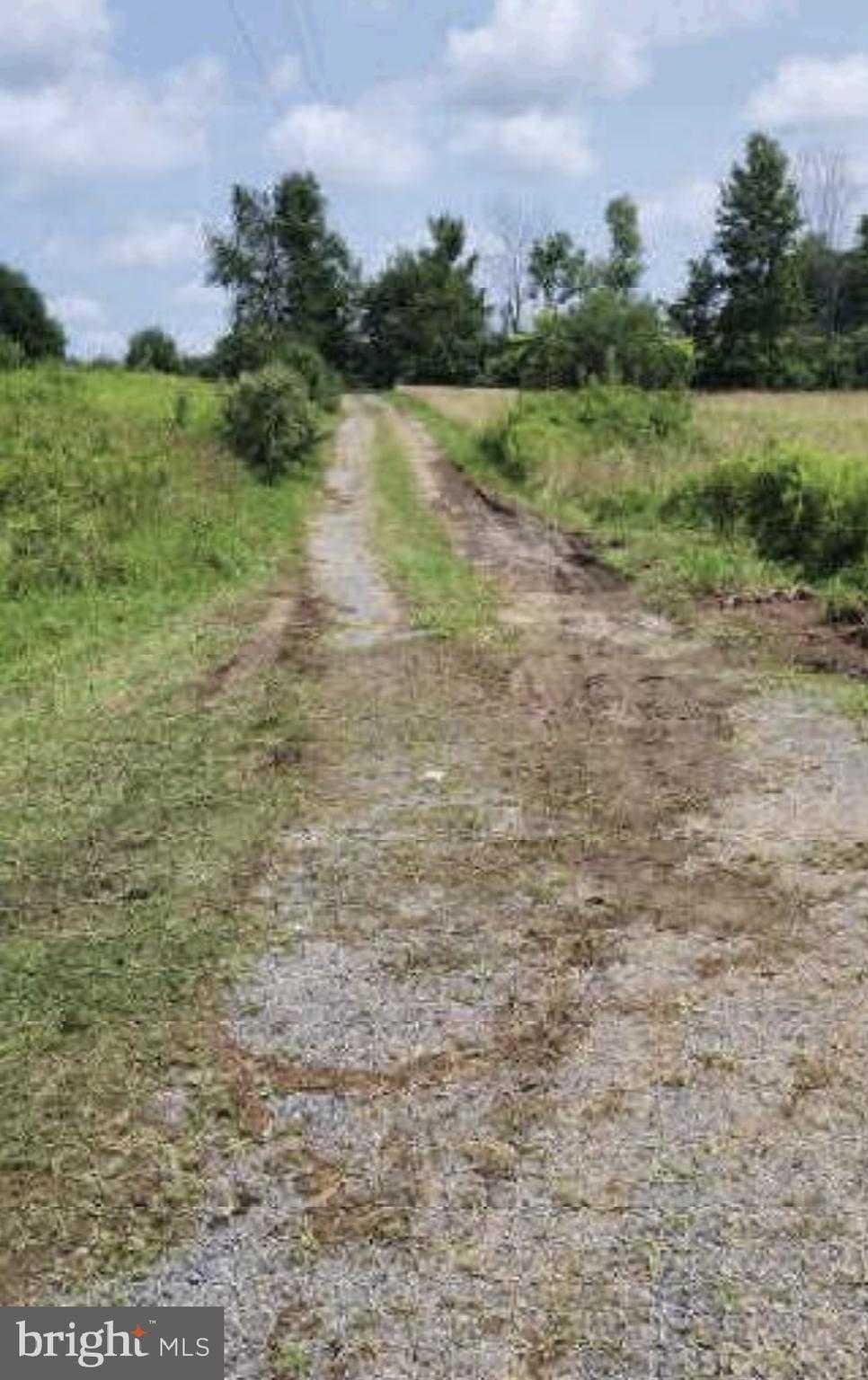 83 Ankney Ln photo 3