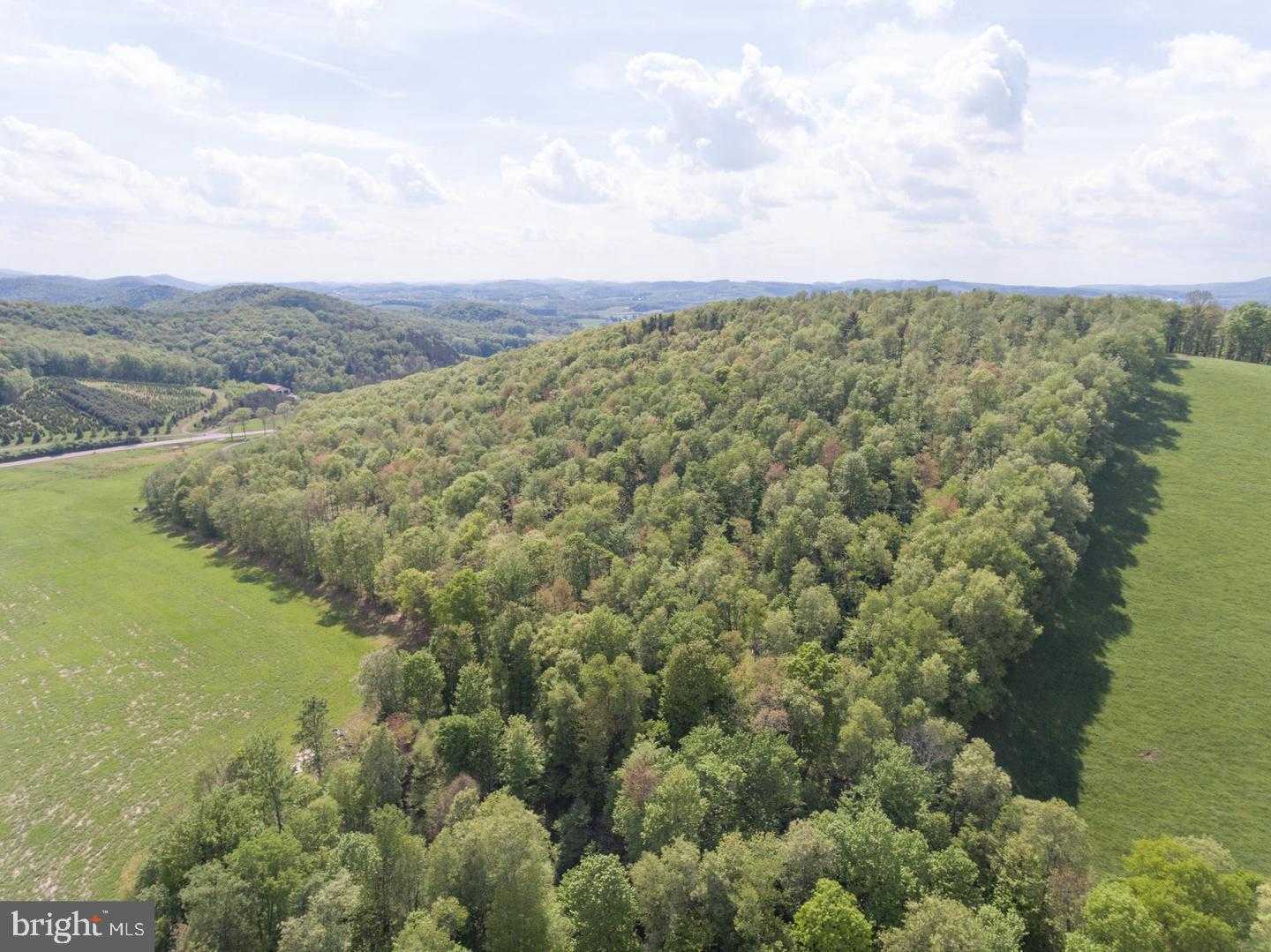 3257 George Washington Hwy photo 6