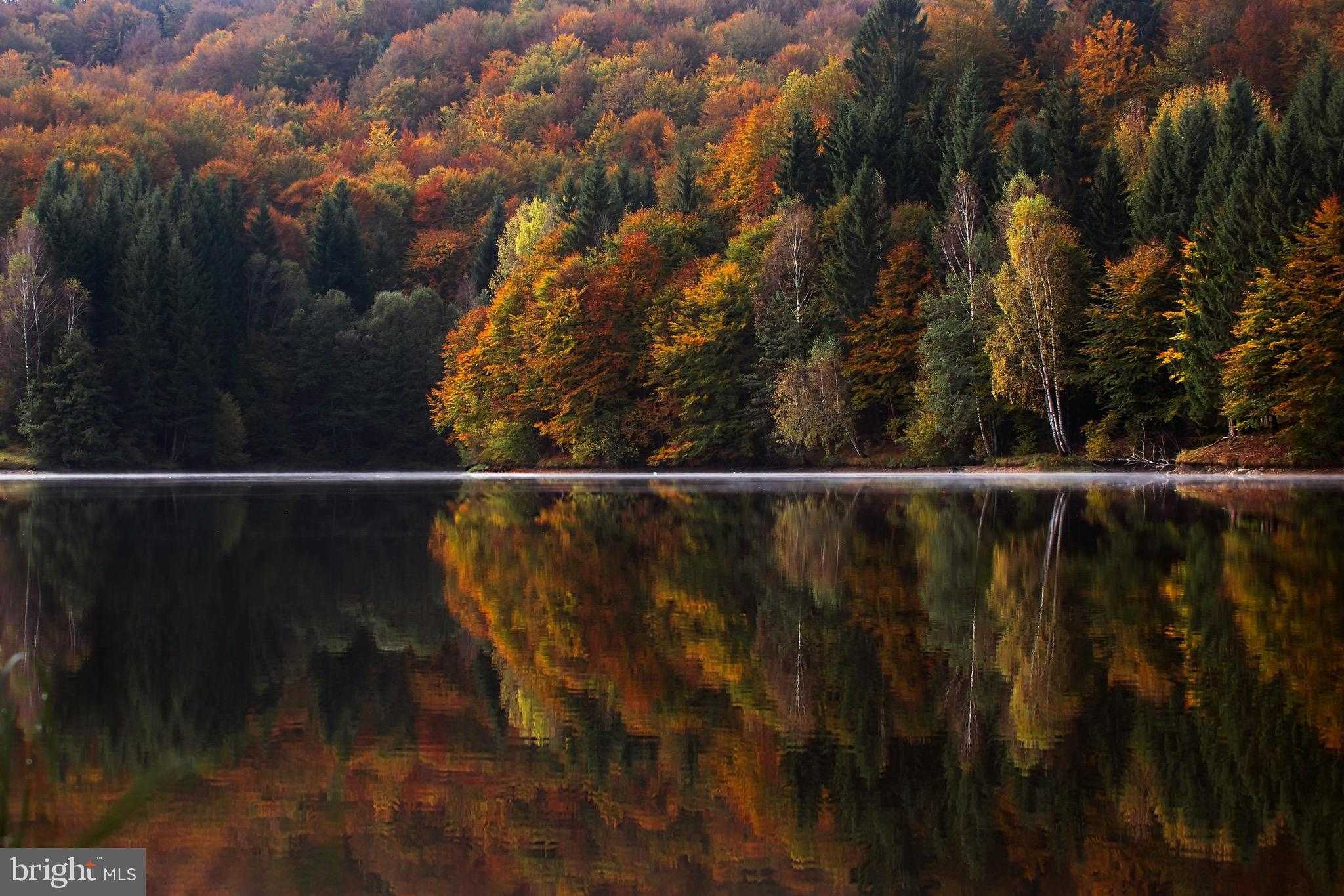 1 S Hanover St photo 39