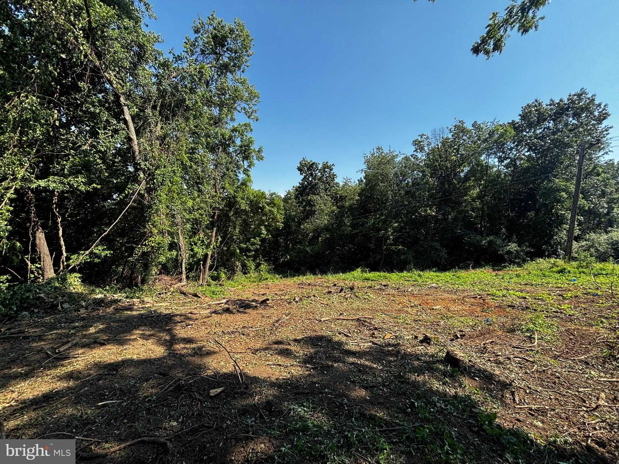 46 Mason Dixon Trl photo 38