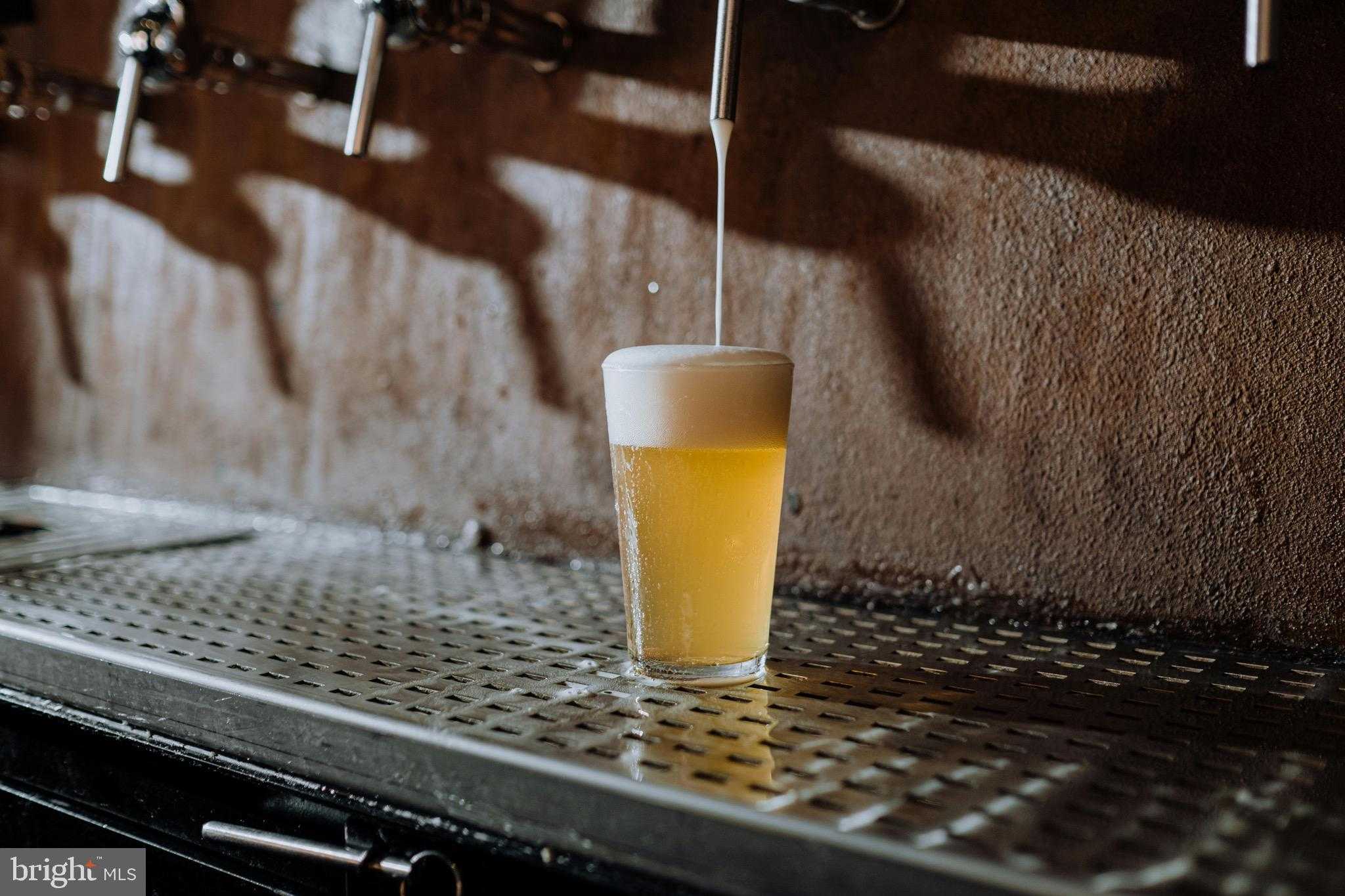 46 Mason Dixon Trl photo 41