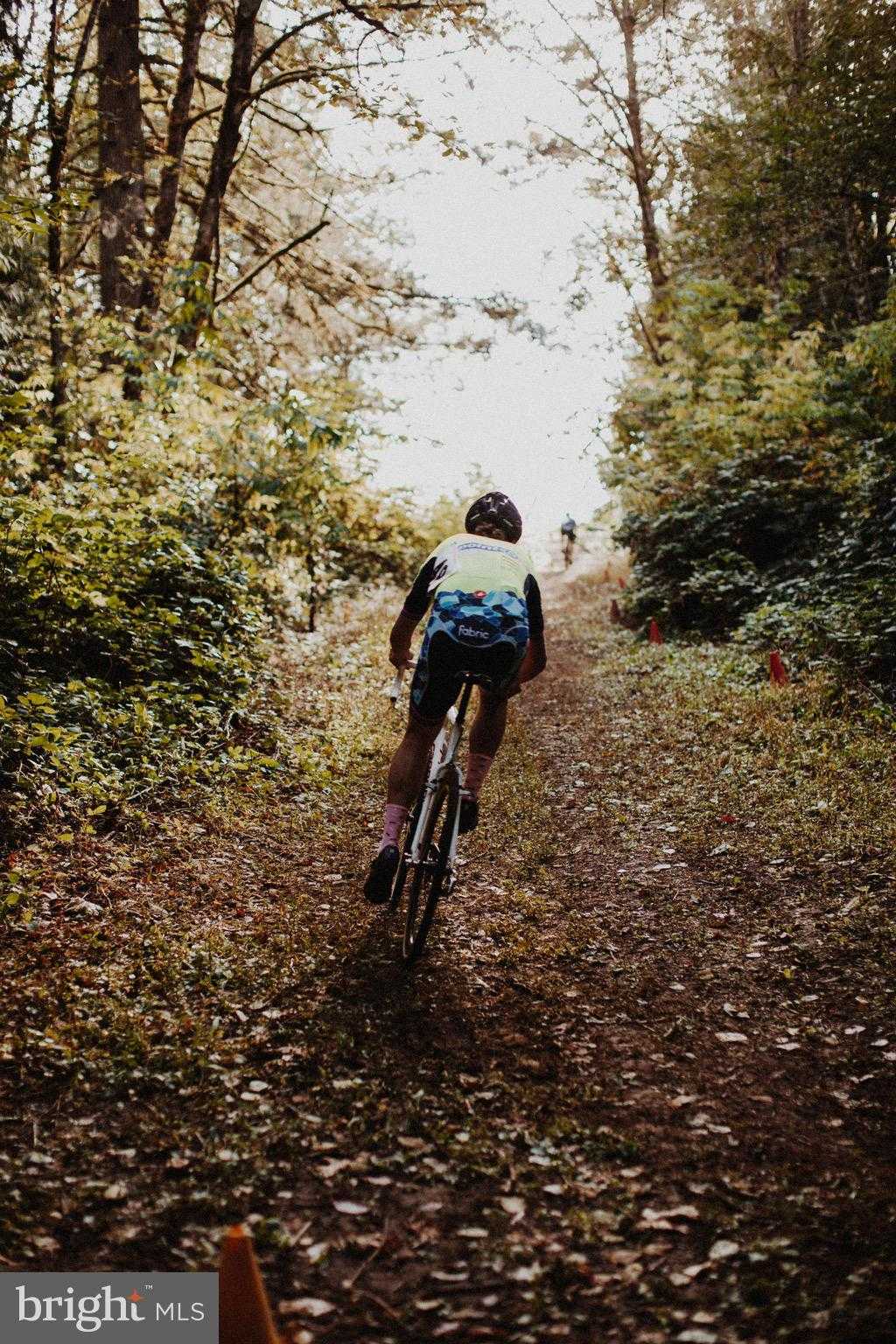 46 Mason Dixon Trl photo 42