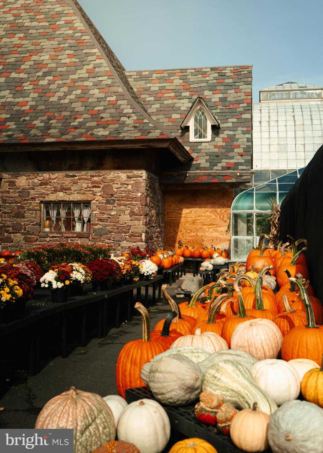 46 Mason Dixon Trl photo 43