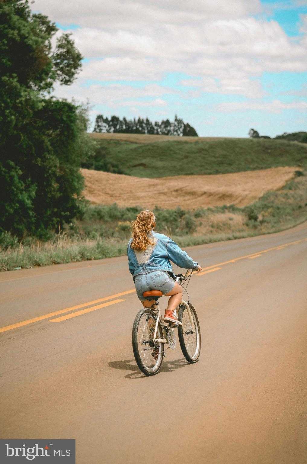 46 Mason Dixon Trl photo 45