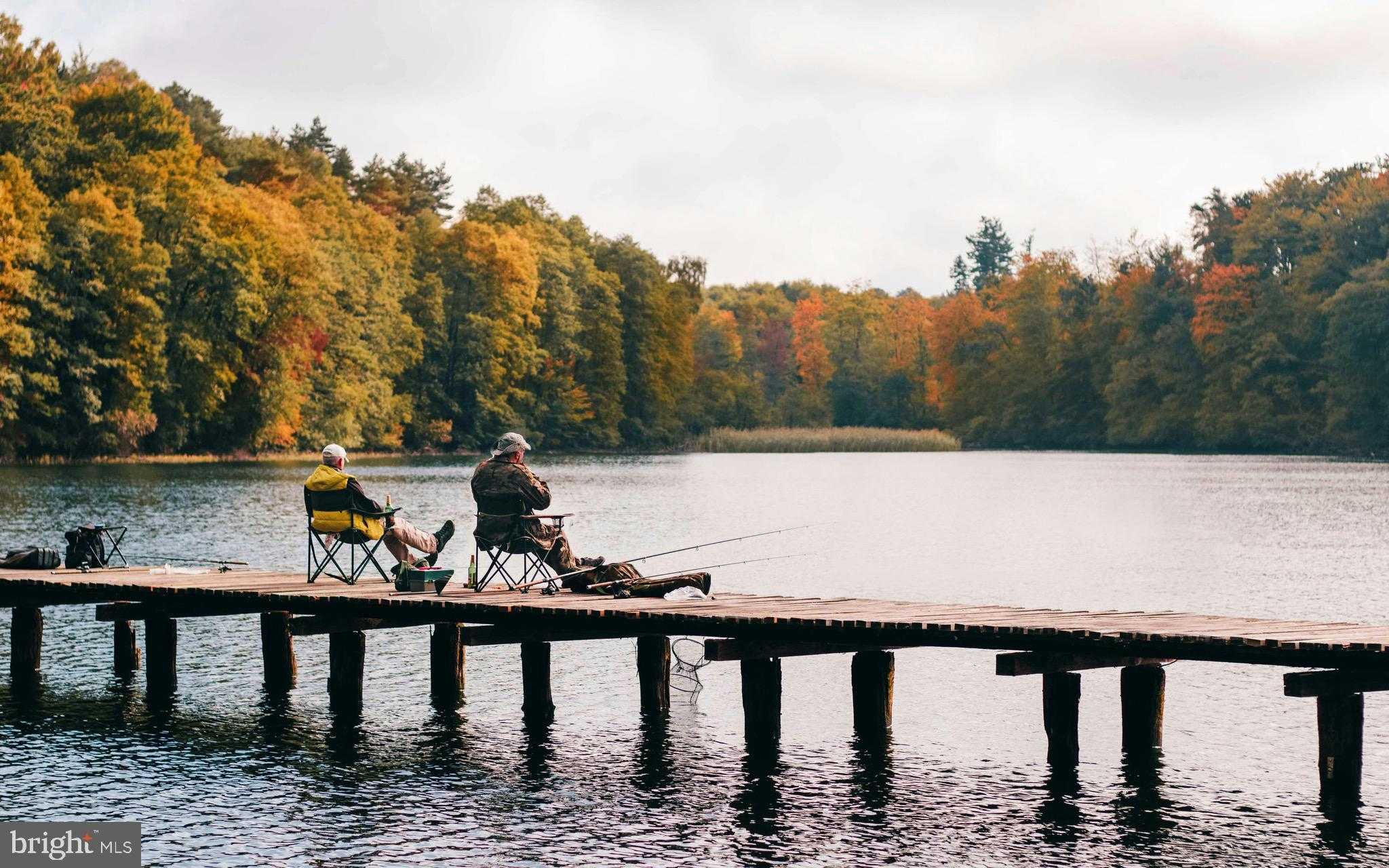 46 Mason Dixon Trl photo 46