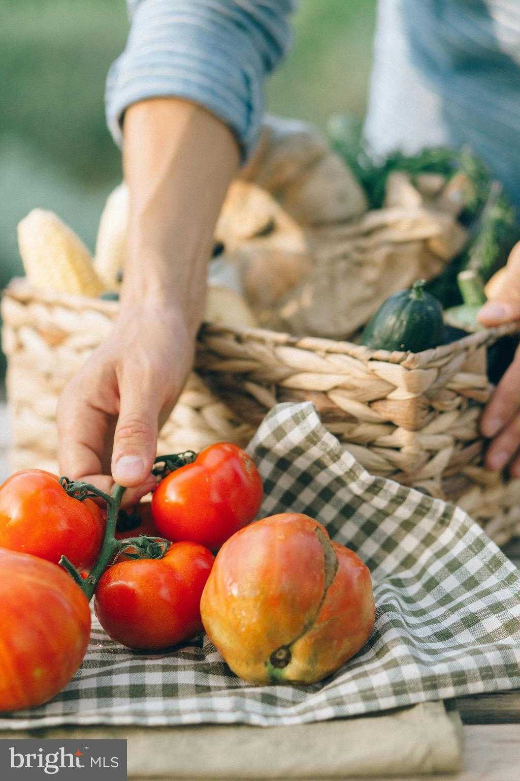 46 Mason Dixon Trl photo 47