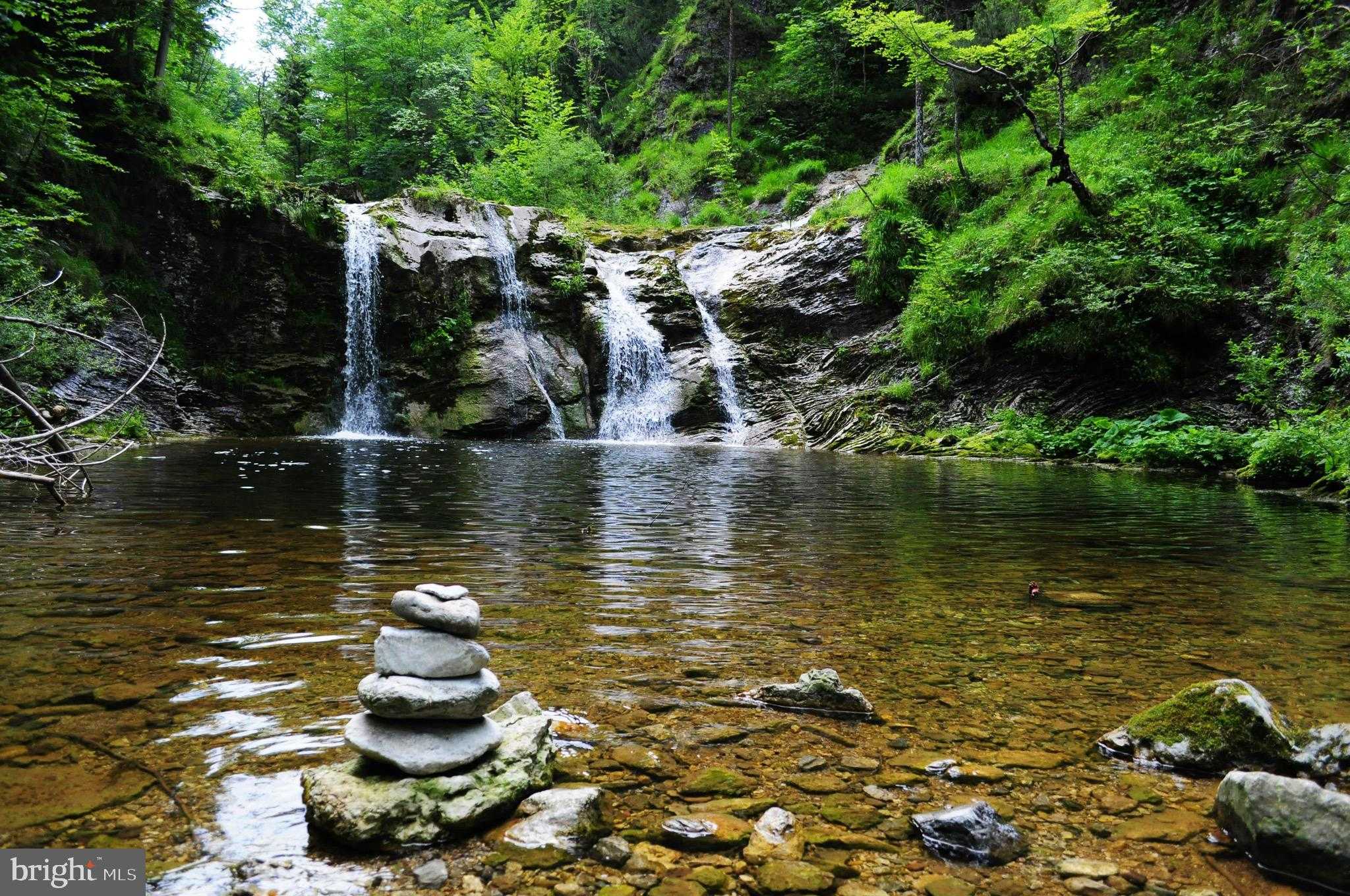 46 Mason Dixon Trl photo 48