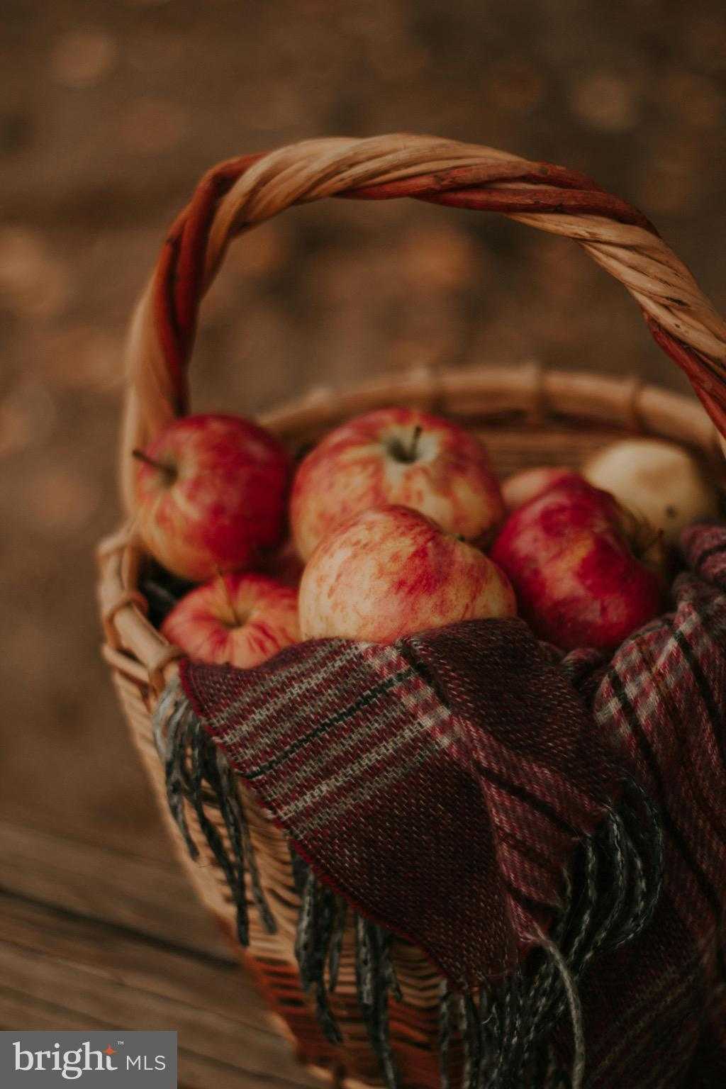 Old Harrisburg Rd photo 39