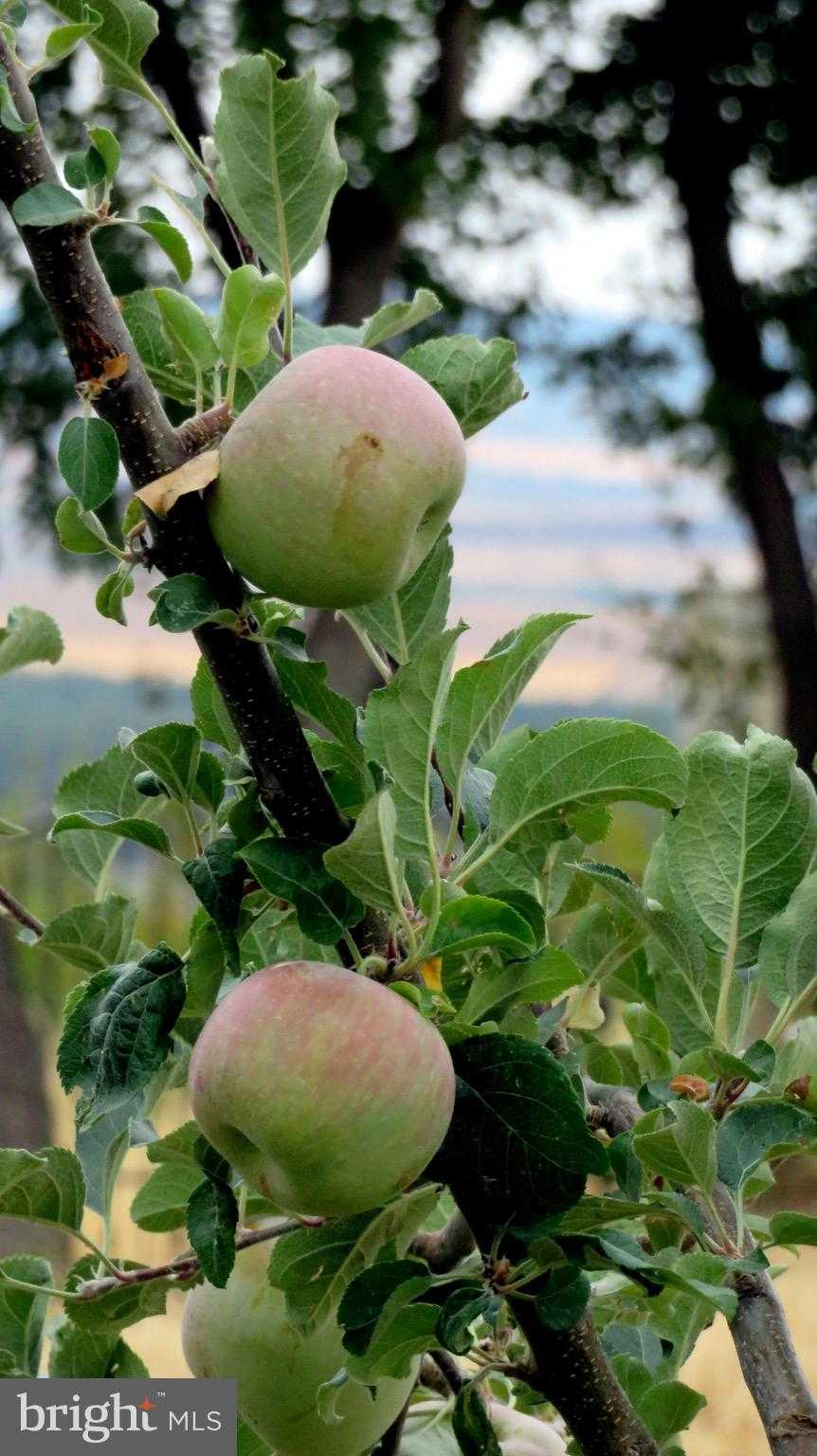 2828 Heidlersburg Rd photo 34