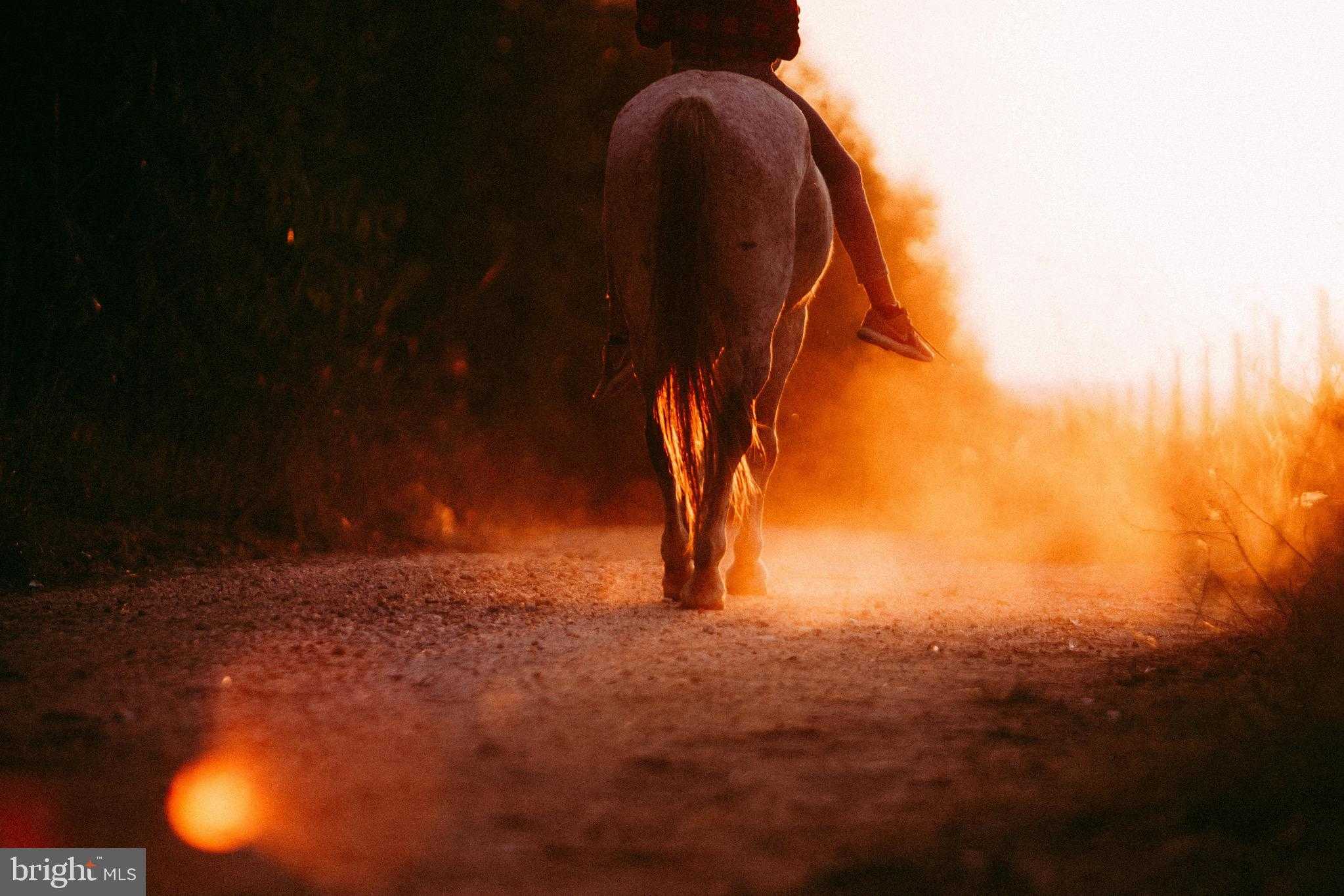 2828 Heidlersburg Rd photo 42