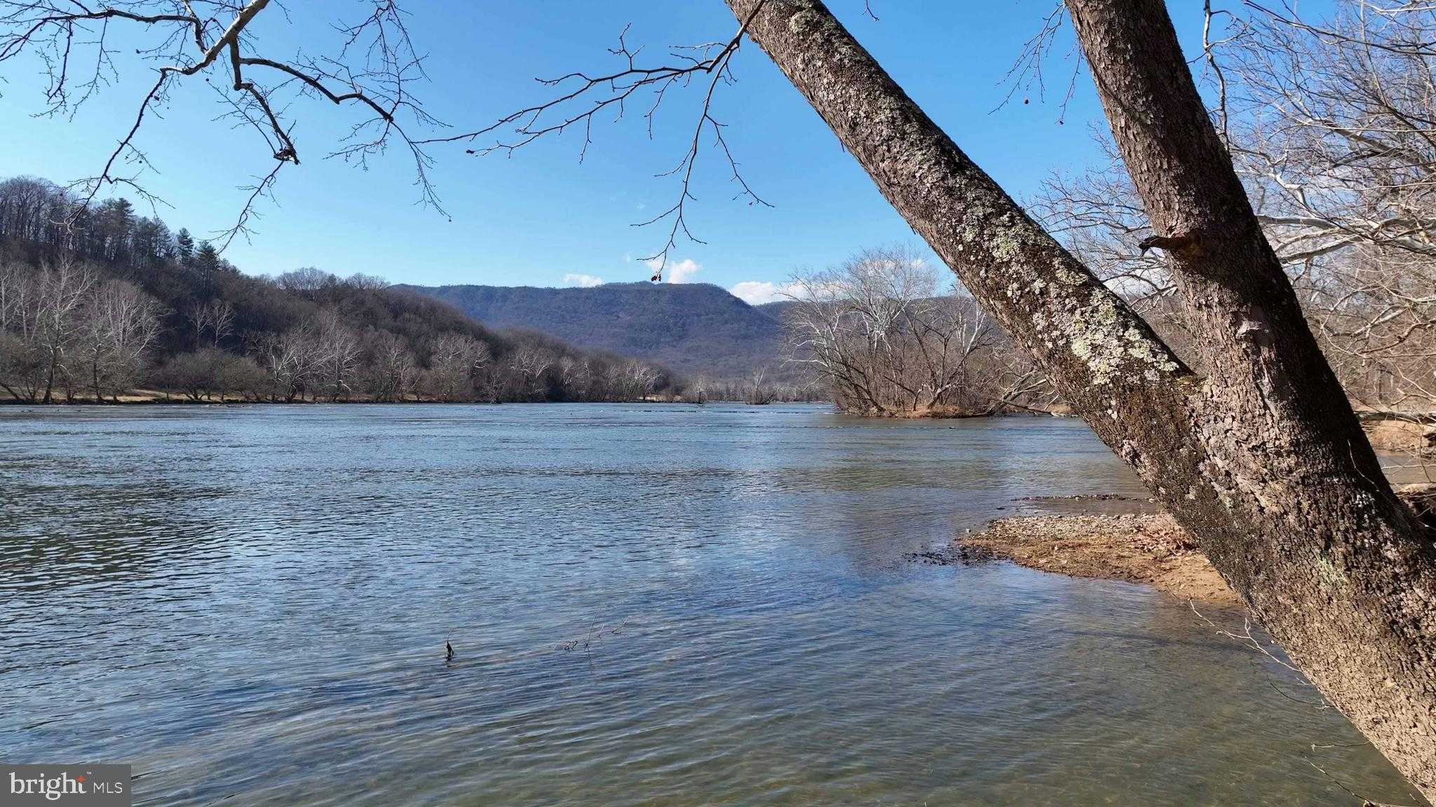 1778 T Bird Dr photo 11