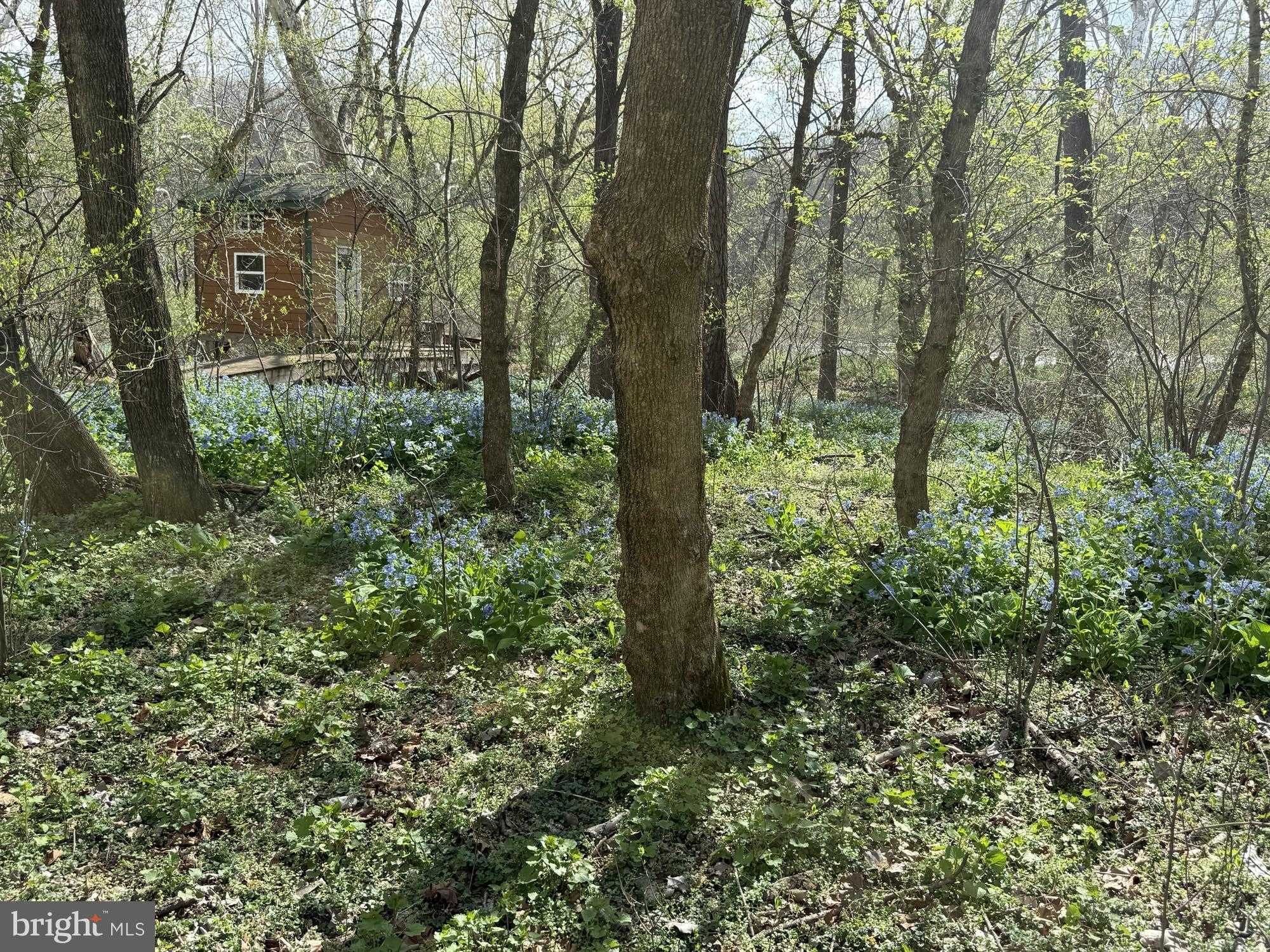 1778 T Bird Dr photo 13