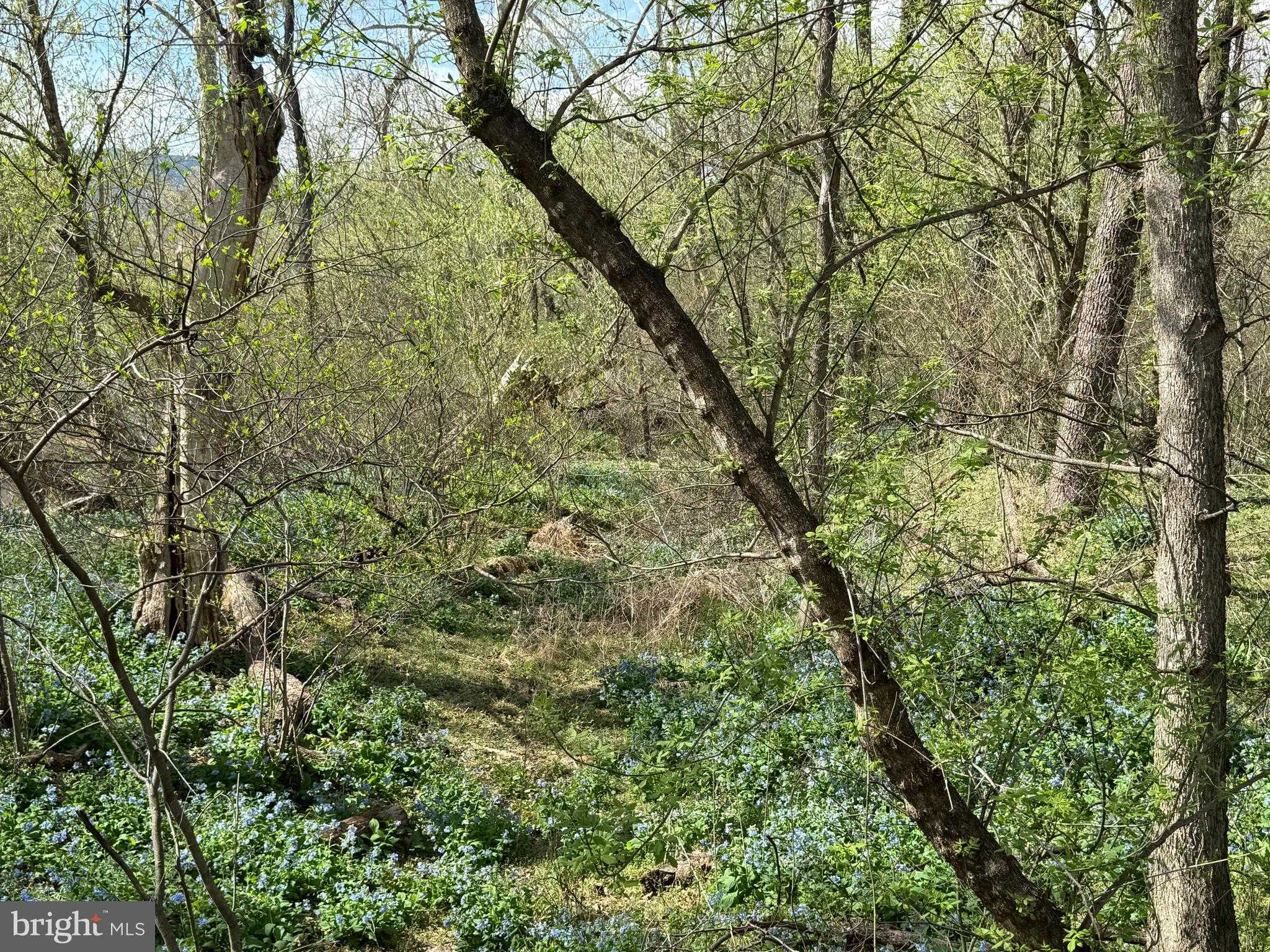 1778 T Bird Dr photo 15