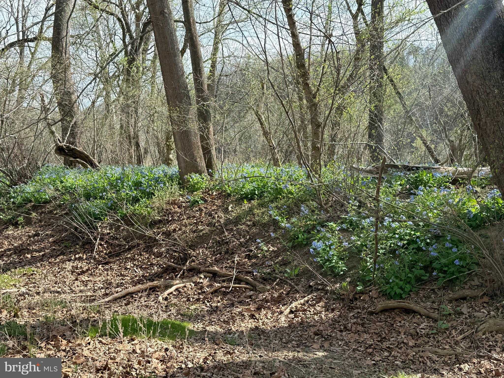 1778 T Bird Dr photo 16