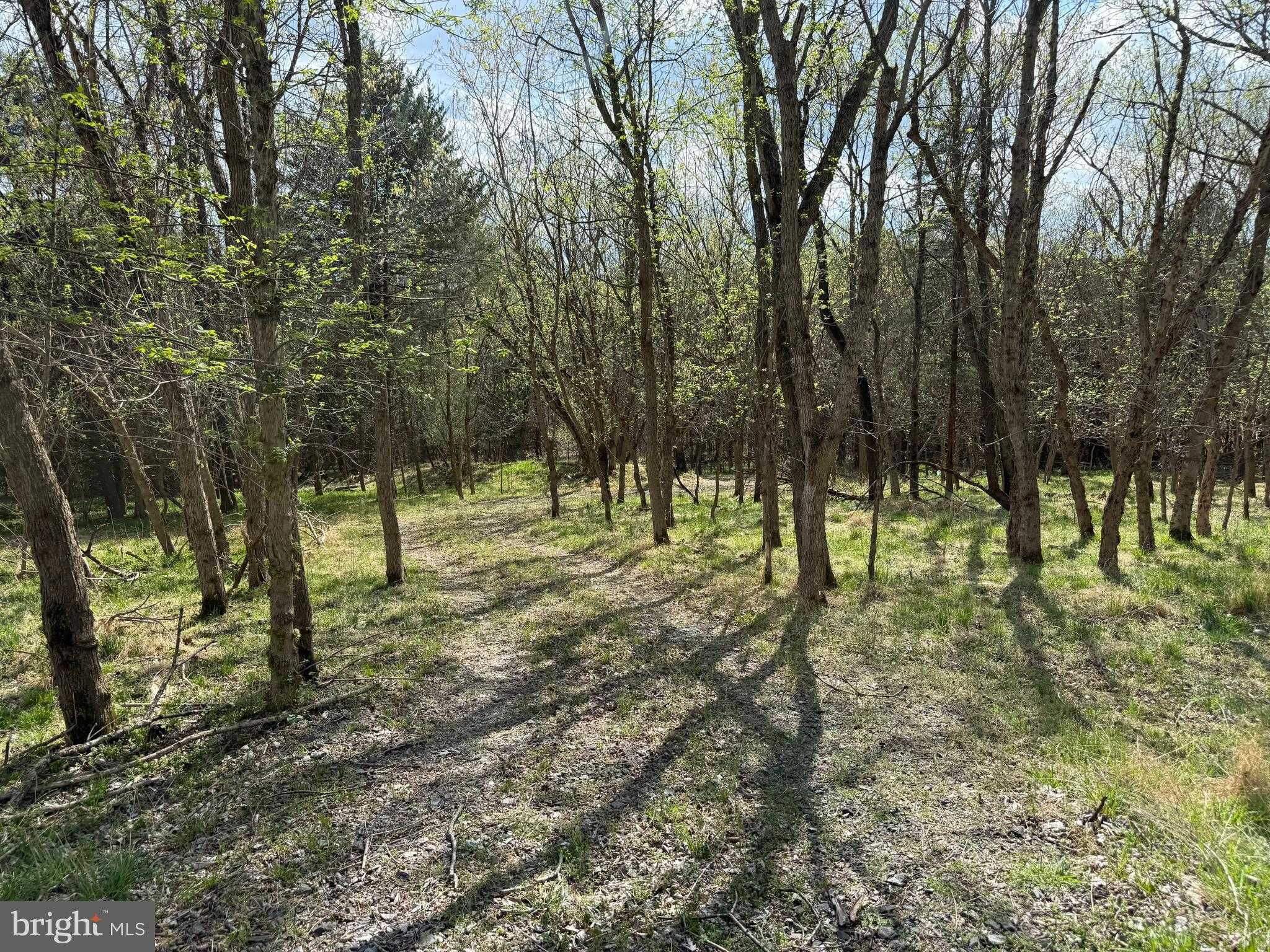 1778 T Bird Dr photo 17