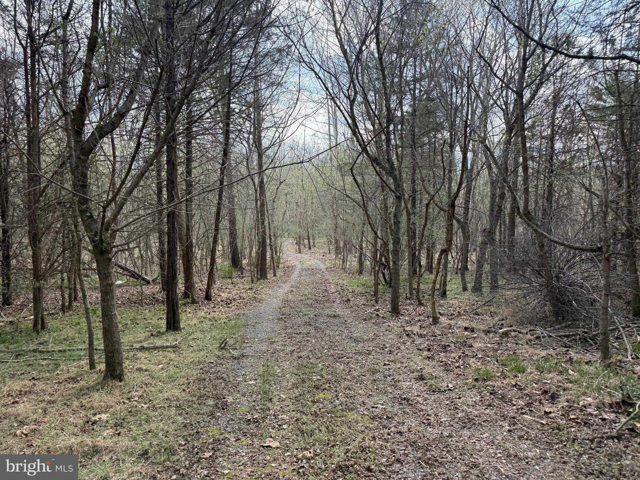 1778 T Bird Dr photo 18