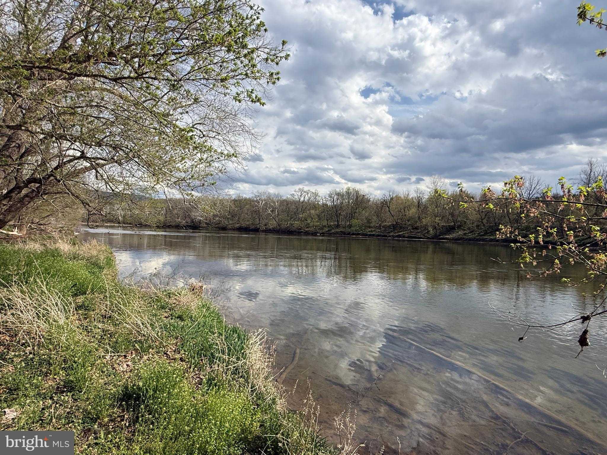 1778 T Bird Dr photo 21