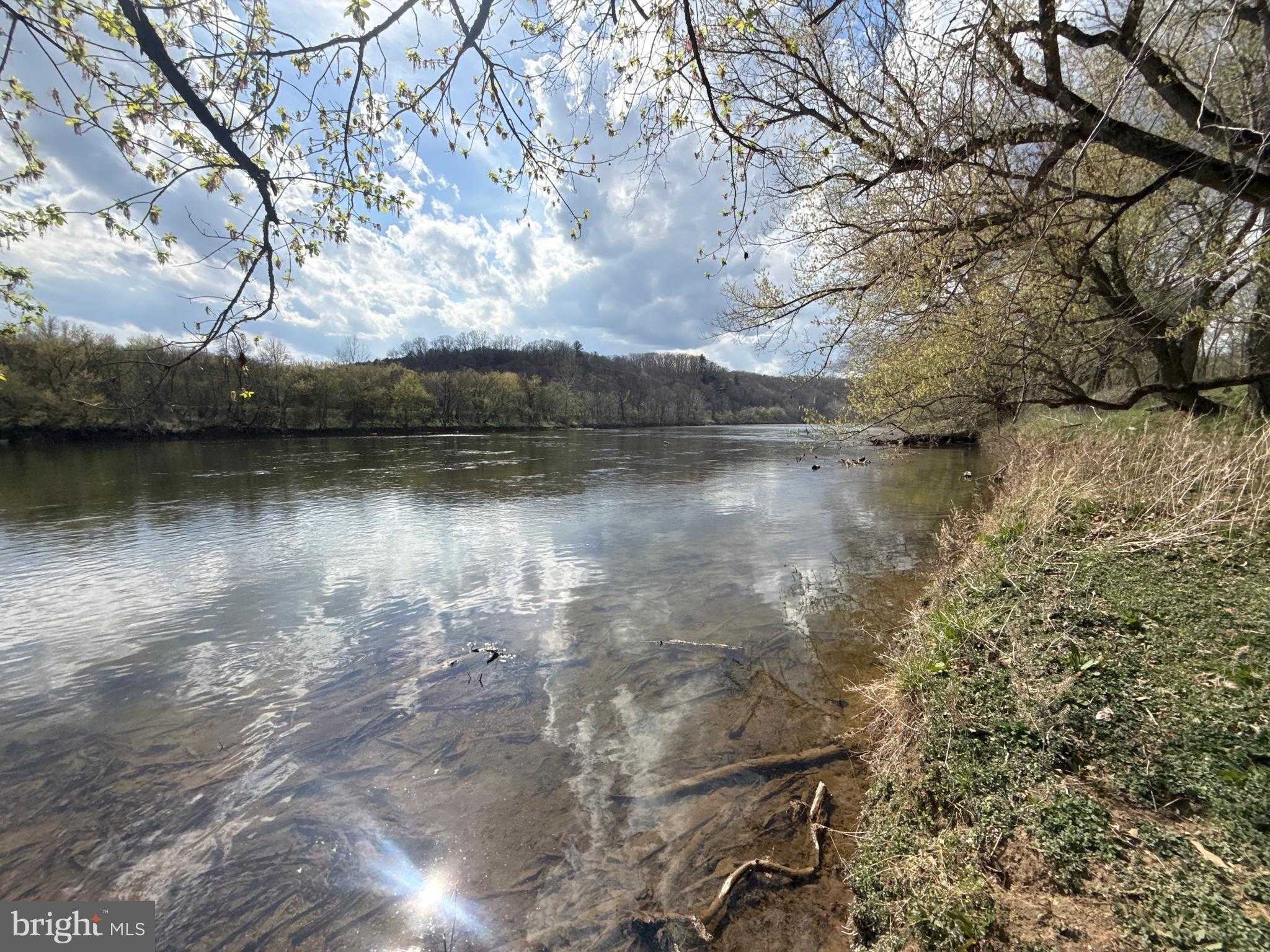 1778 T Bird Dr photo 23