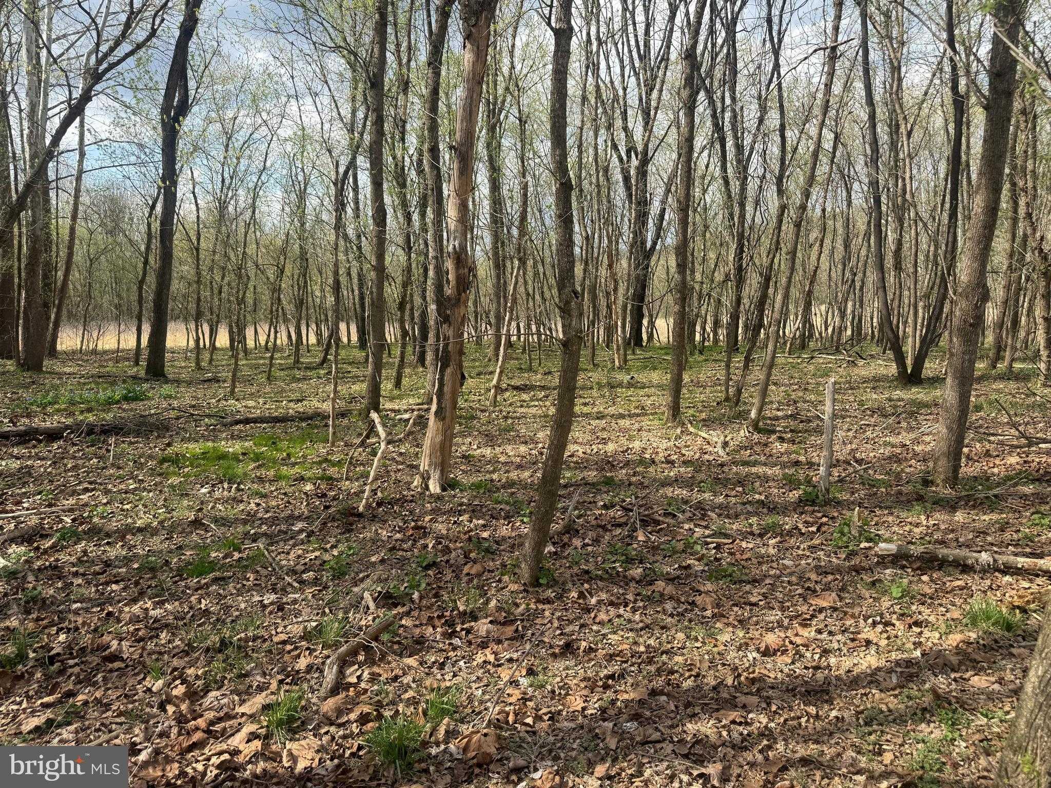 1778 T Bird Dr photo 24